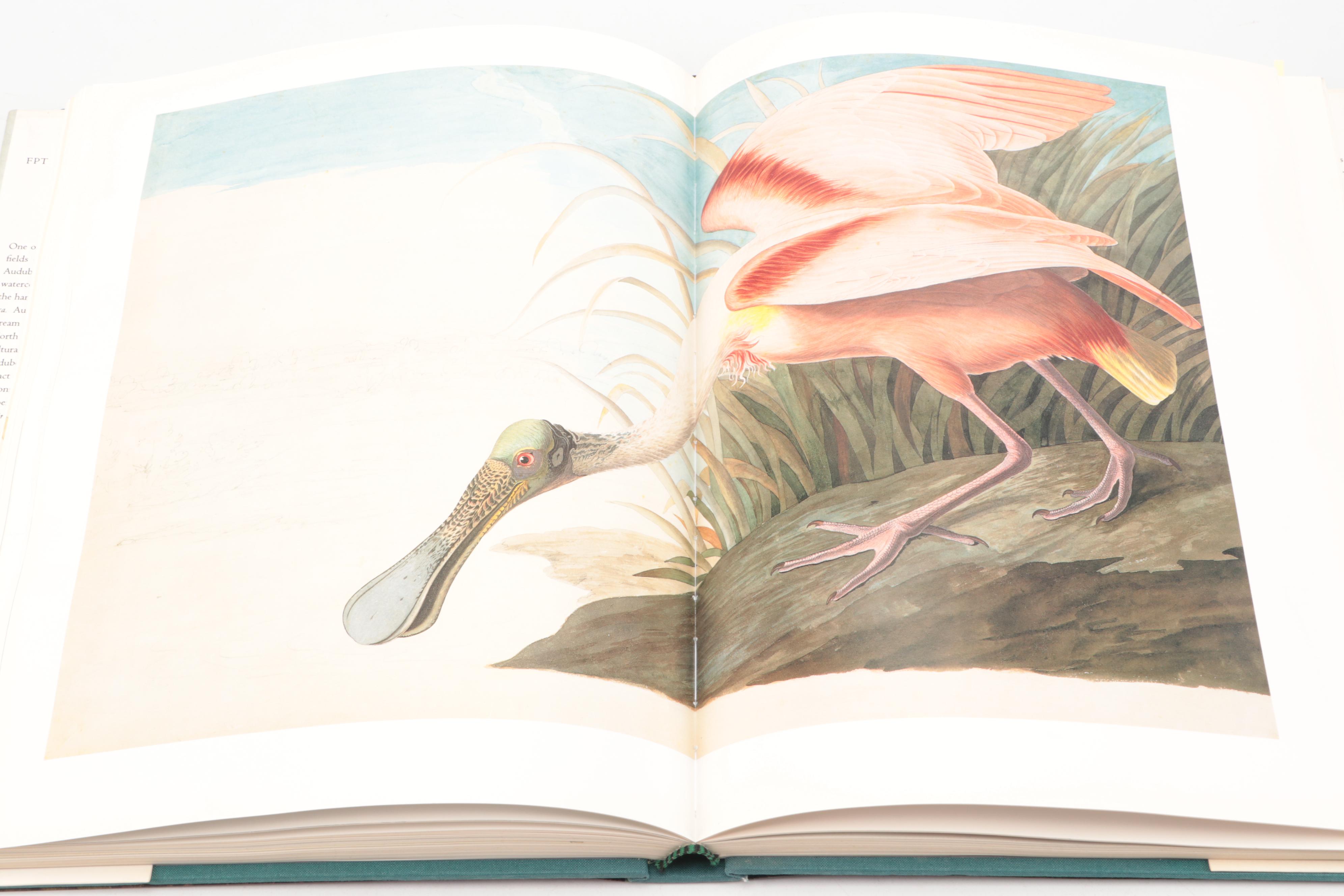First Printing "John James Audubon: Watercolors for The Birds of America," 1993