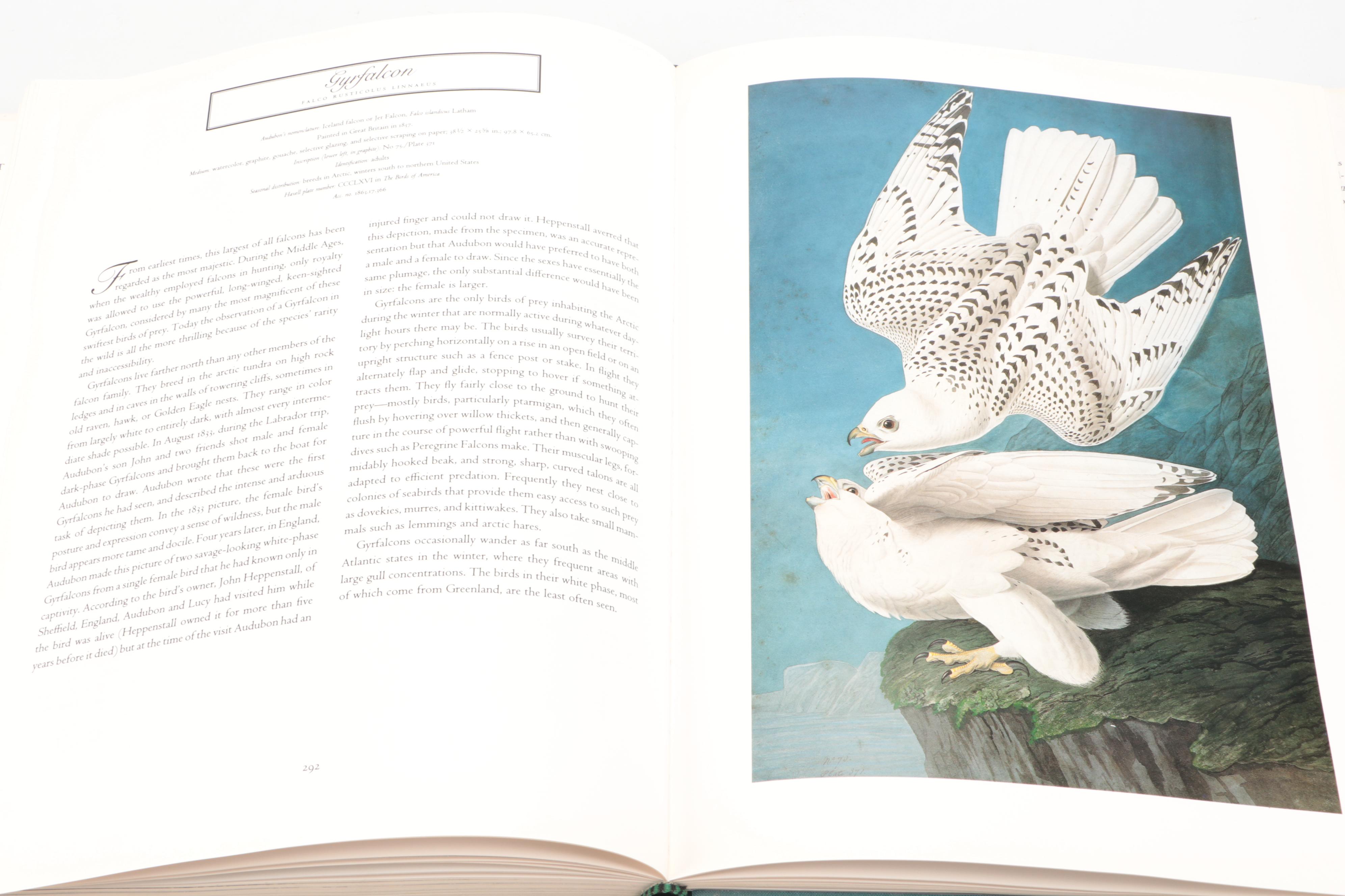 First Printing "John James Audubon: Watercolors for The Birds of America," 1993