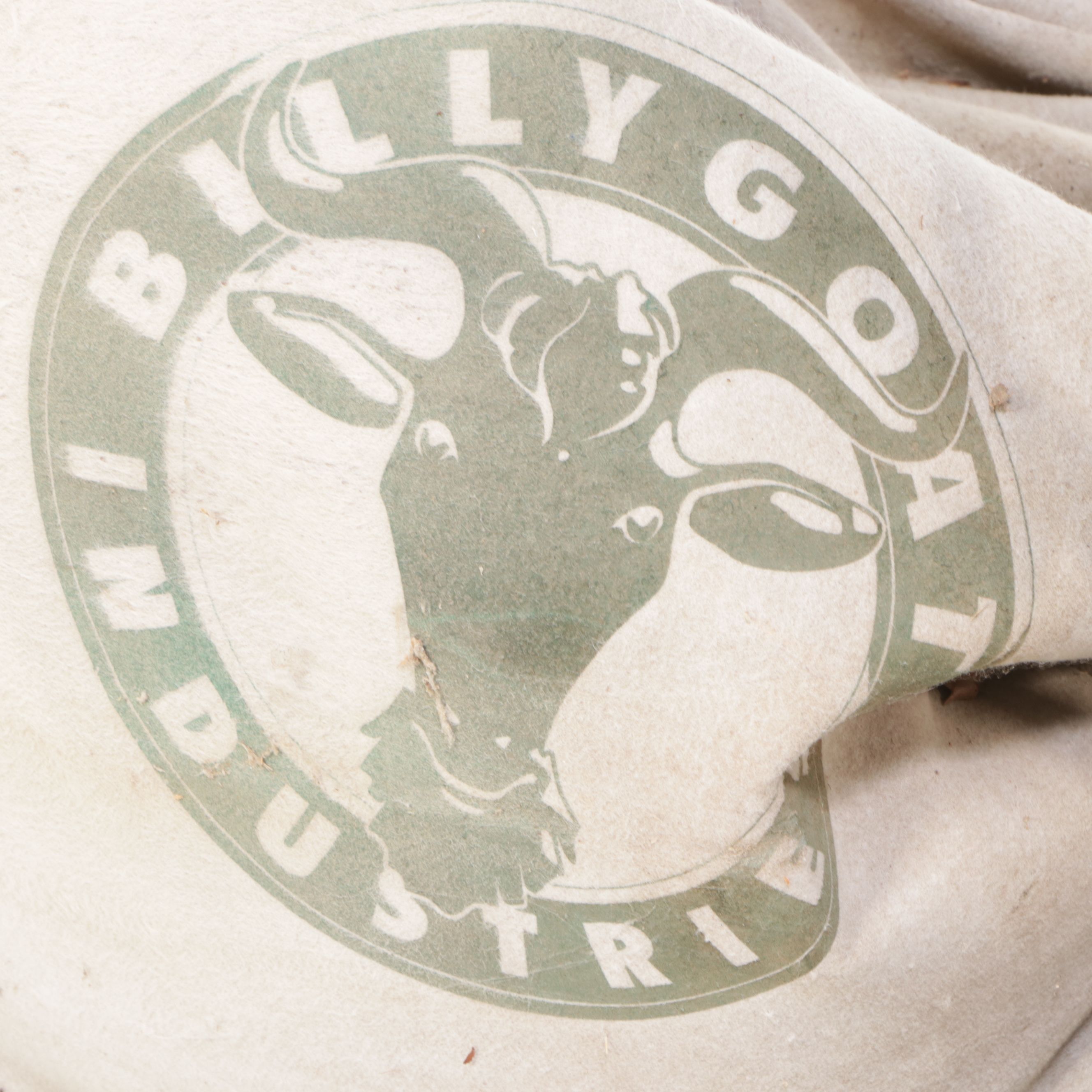 Billy Goat 5.0 Horsepower Pull String Yard Vacuum