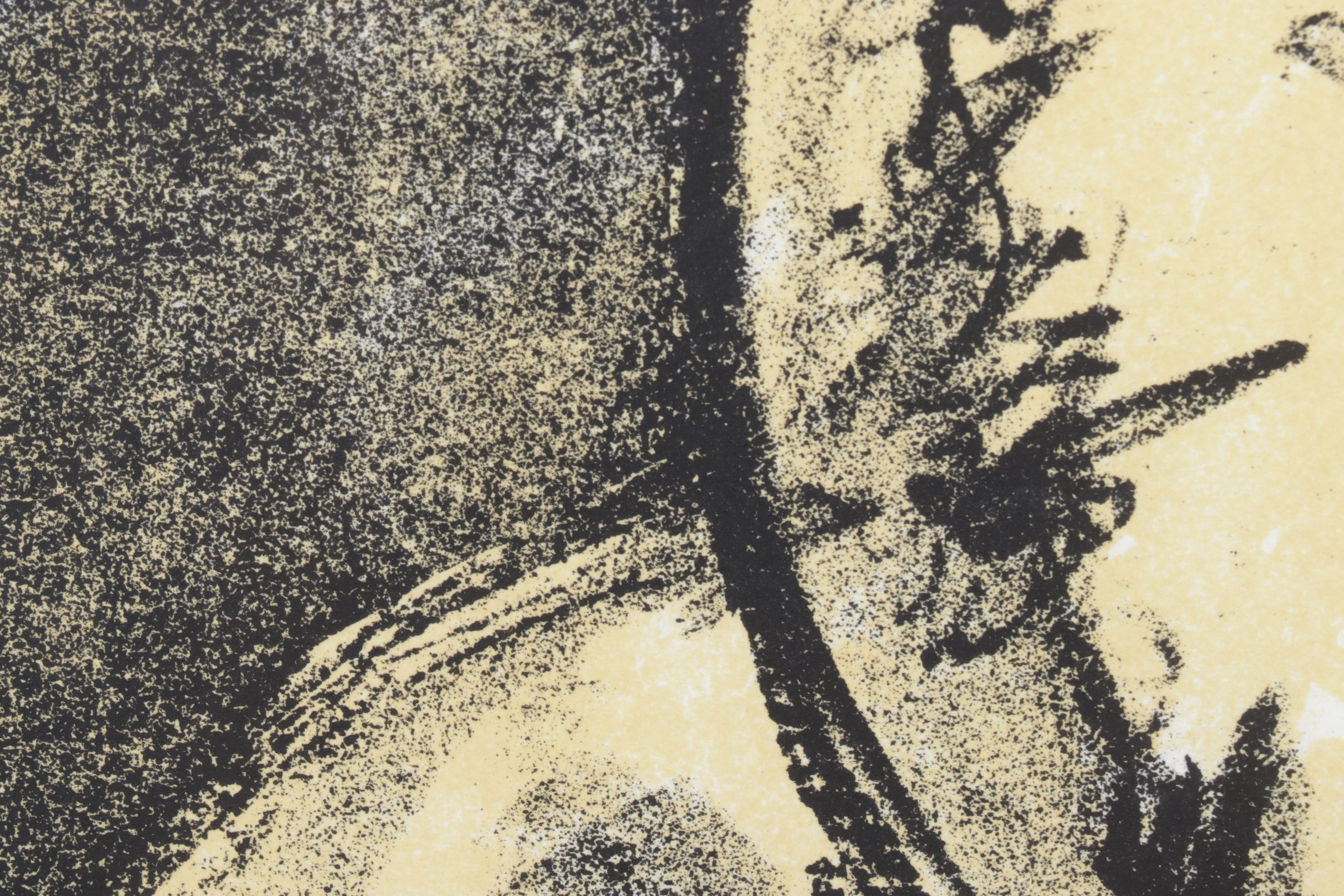 Salvador Dalí Lithograph From "Hommage à Meissonier," 1967