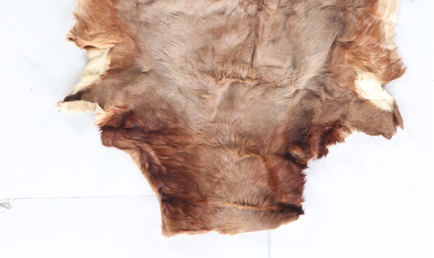 3'2 x 4'4 Antelope Hide Accent Rug | EBTH