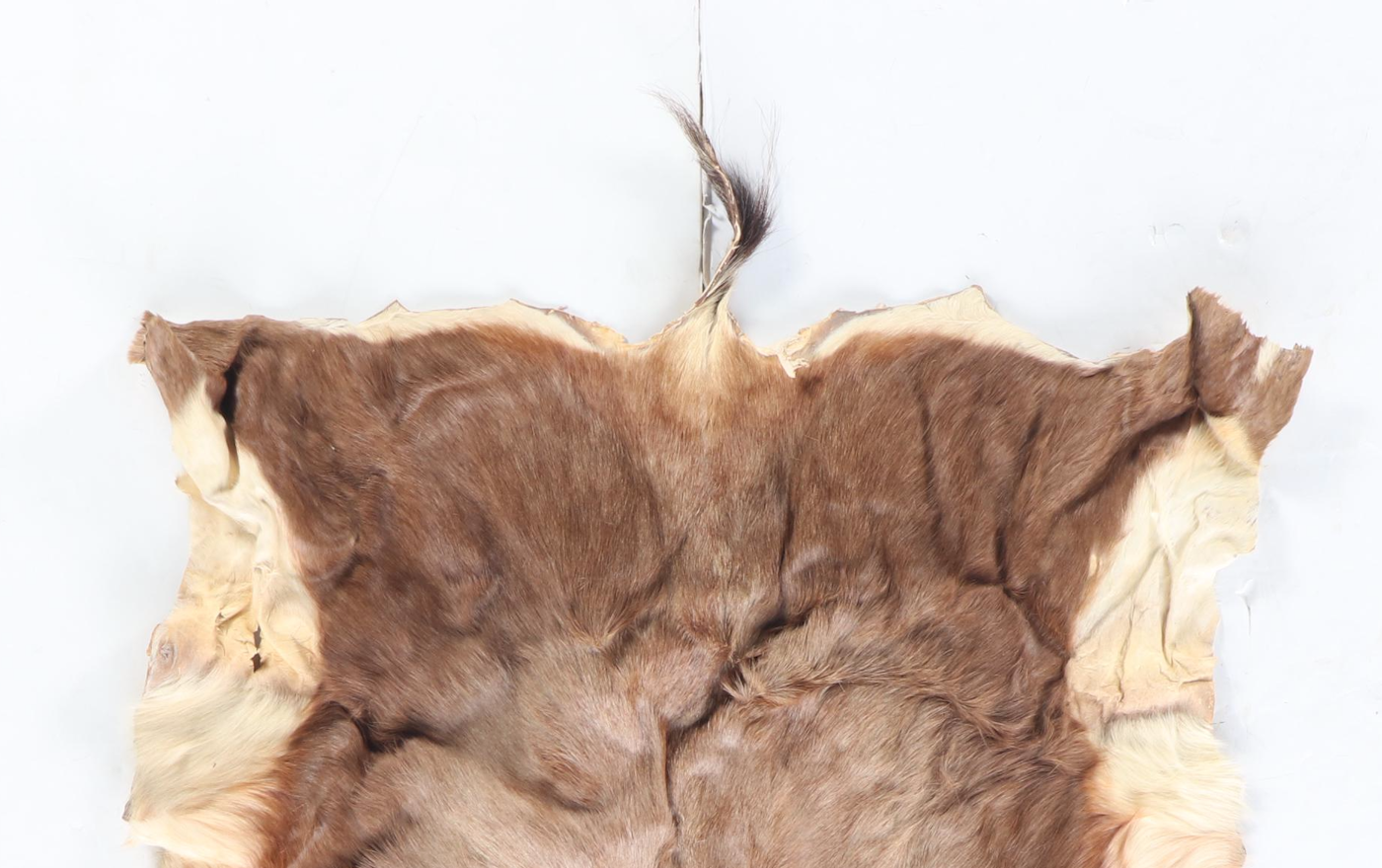 3'2 x 4'4 Antelope Hide Accent Rug | EBTH