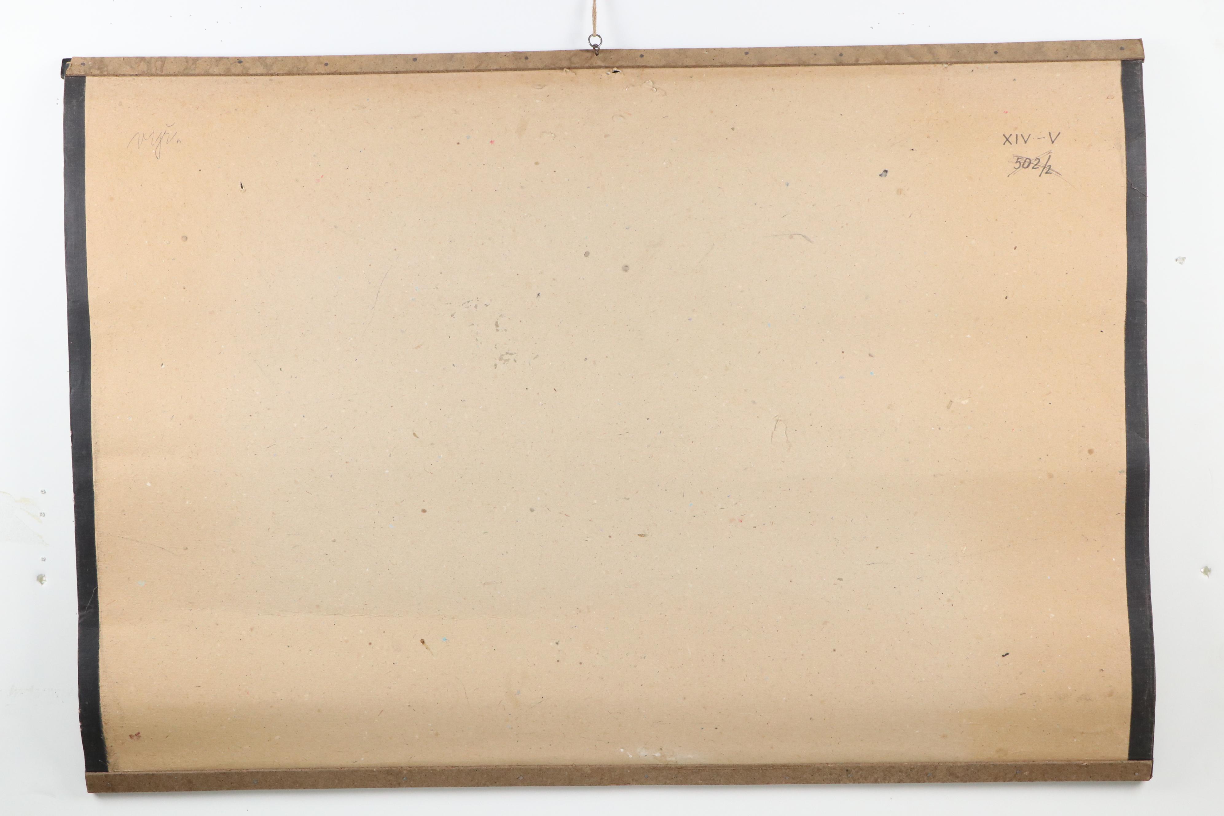 Czech Offset Lithograph Educational Poster "Topol osika," 1971