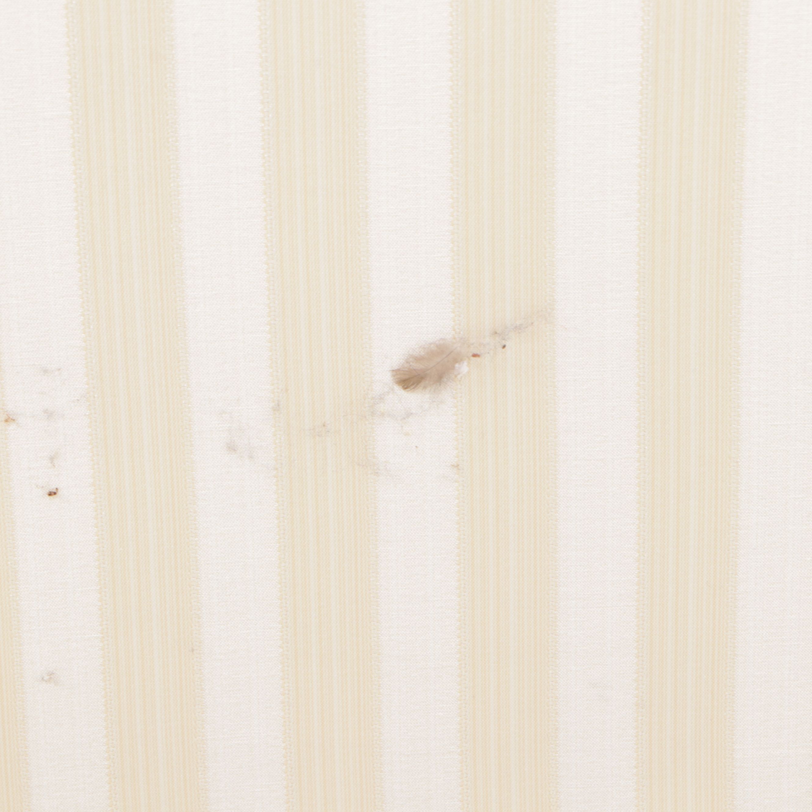 Upholstered Loveseat, Late 20th Century