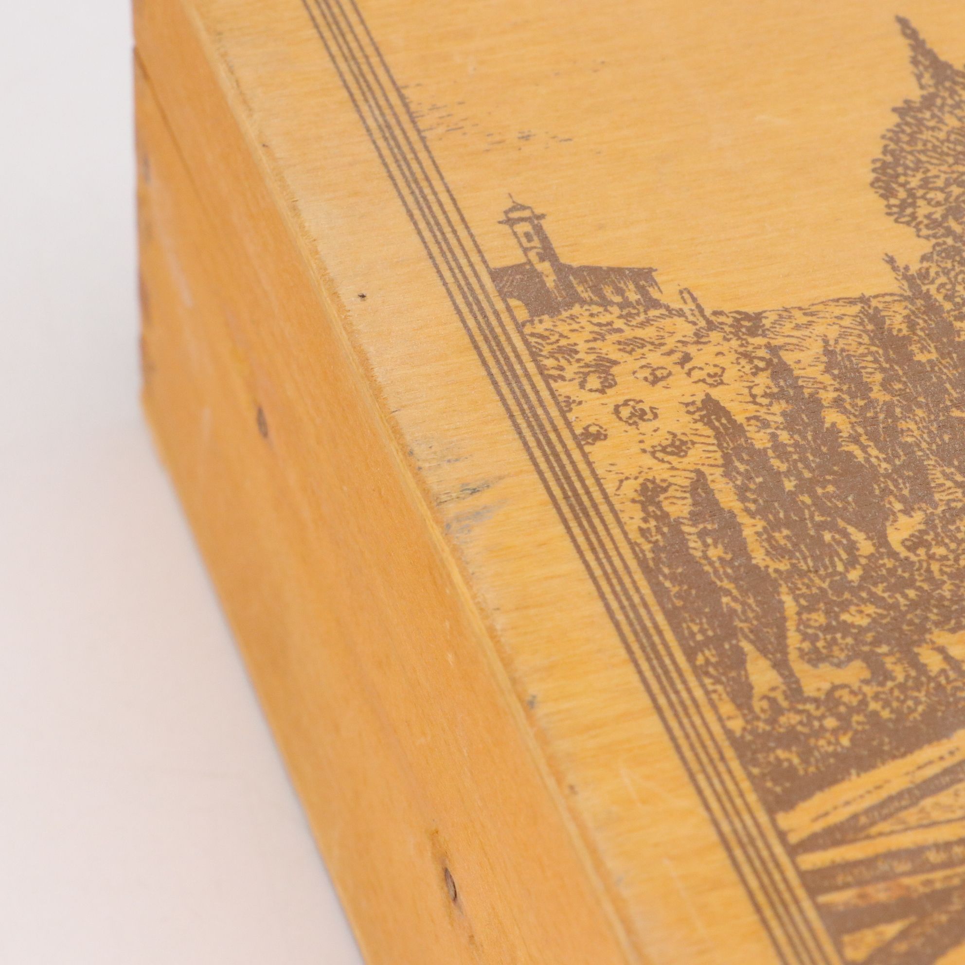 Wooden Box with Printed Estate Image , French Tin Litho Trays, and  Other Decor