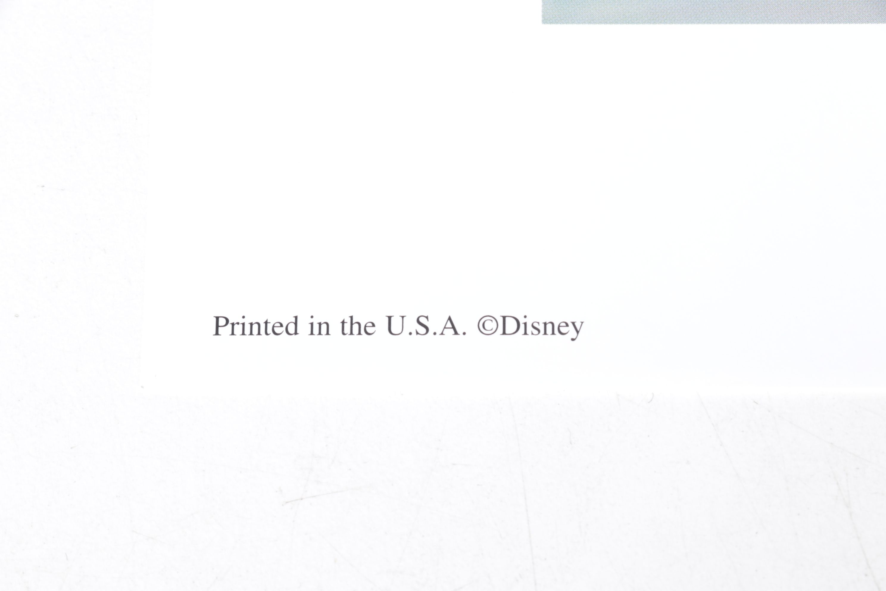 Collection of Commemorative Offset Lithographs from Disney's The Lion King 1 & 2