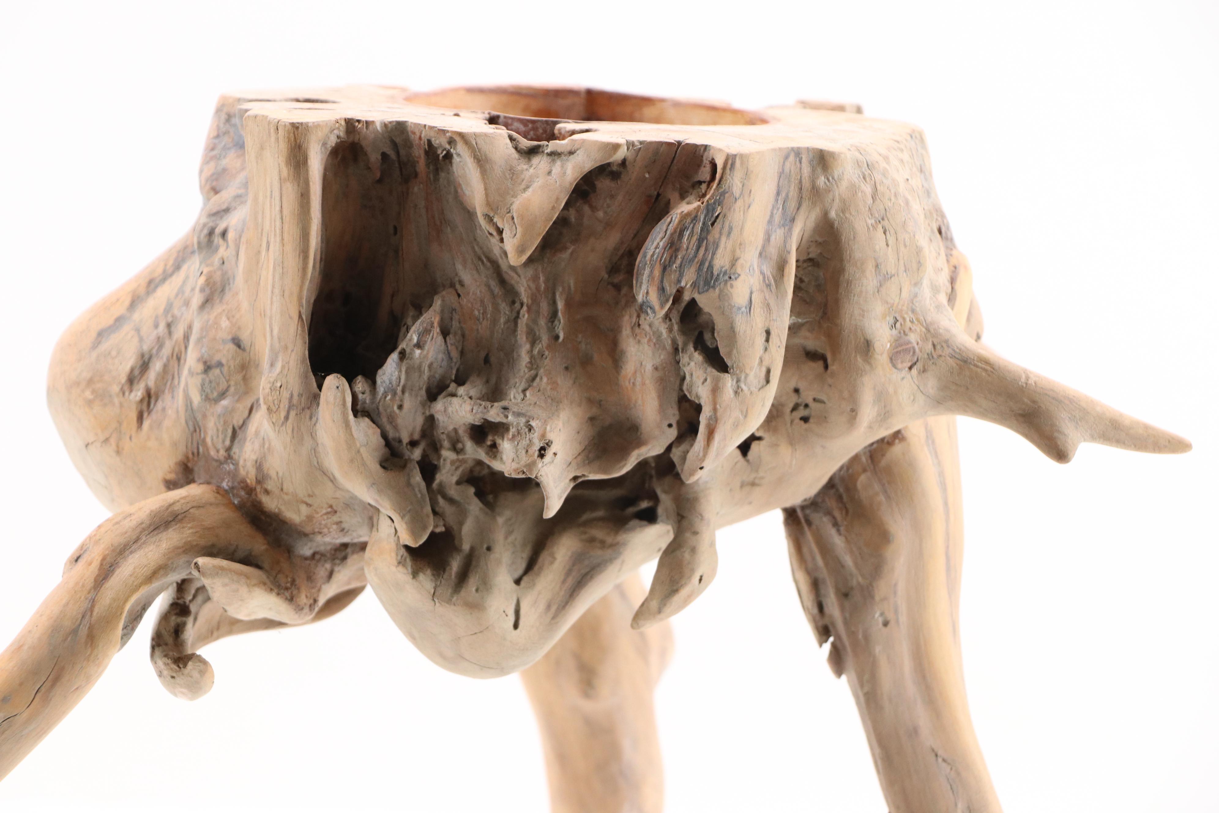 Robert Beaven Standing Carved Cedar Wood Vessel Sculpture