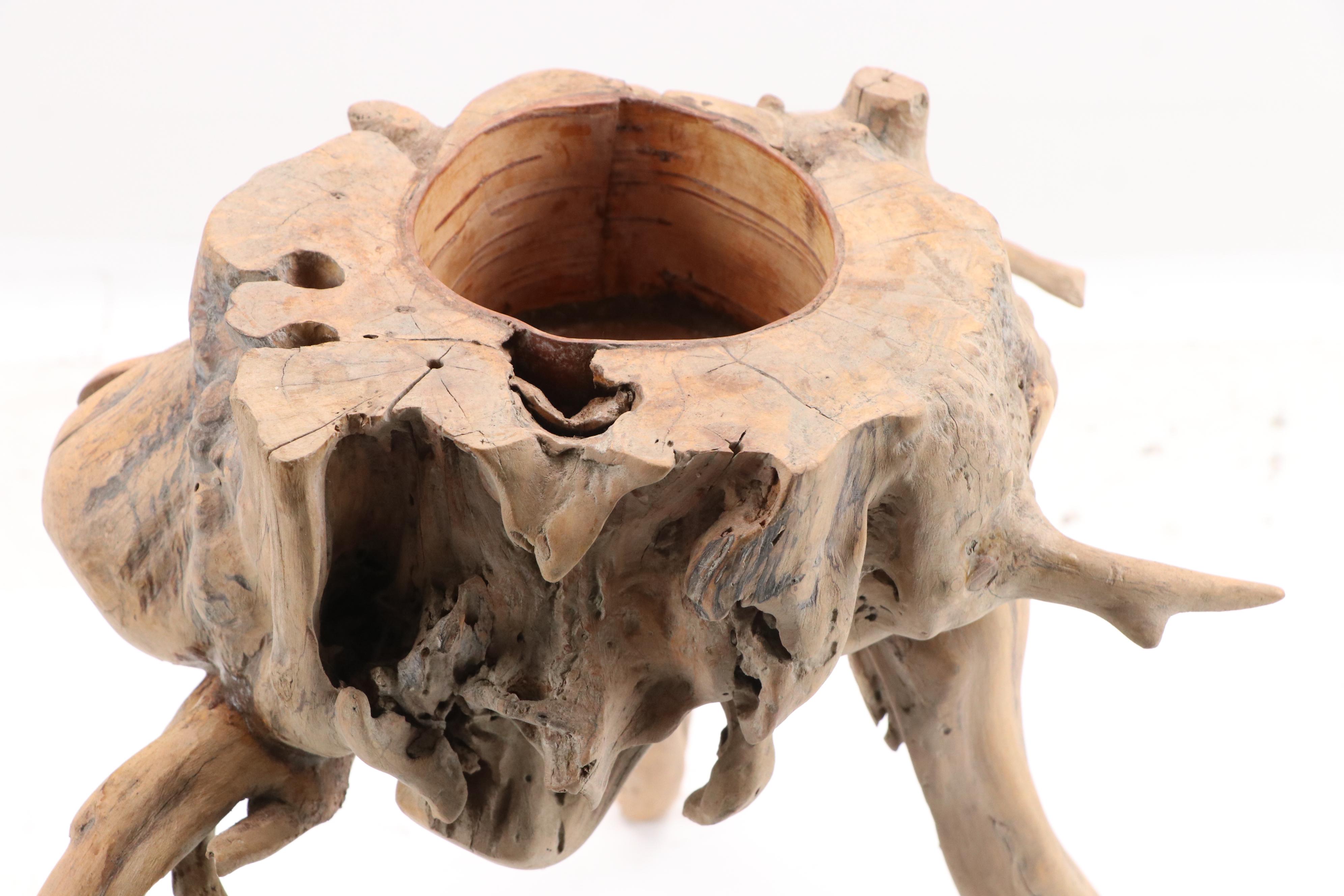 Robert Beaven Standing Carved Cedar Wood Vessel Sculpture