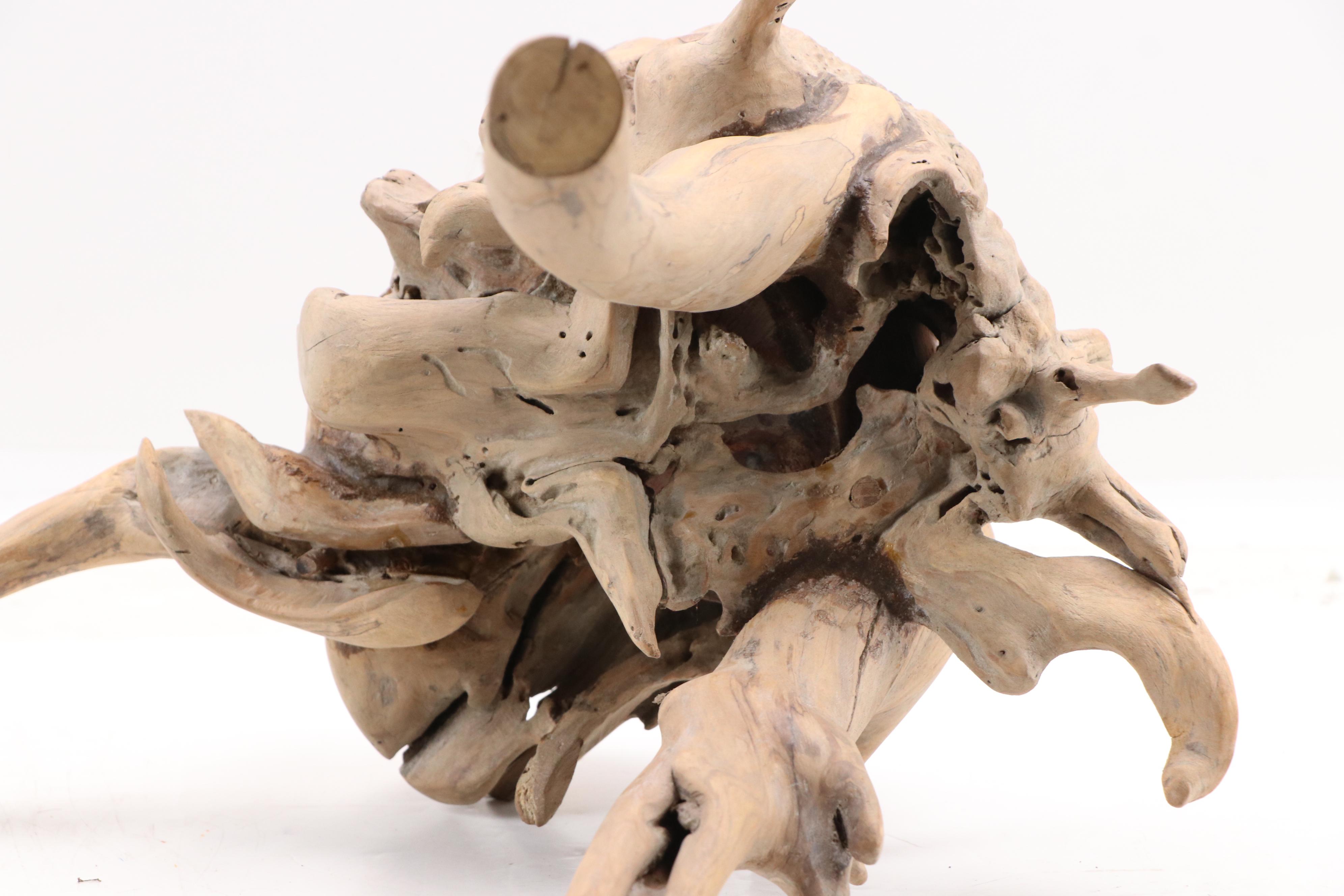 Robert Beaven Standing Carved Cedar Wood Vessel Sculpture