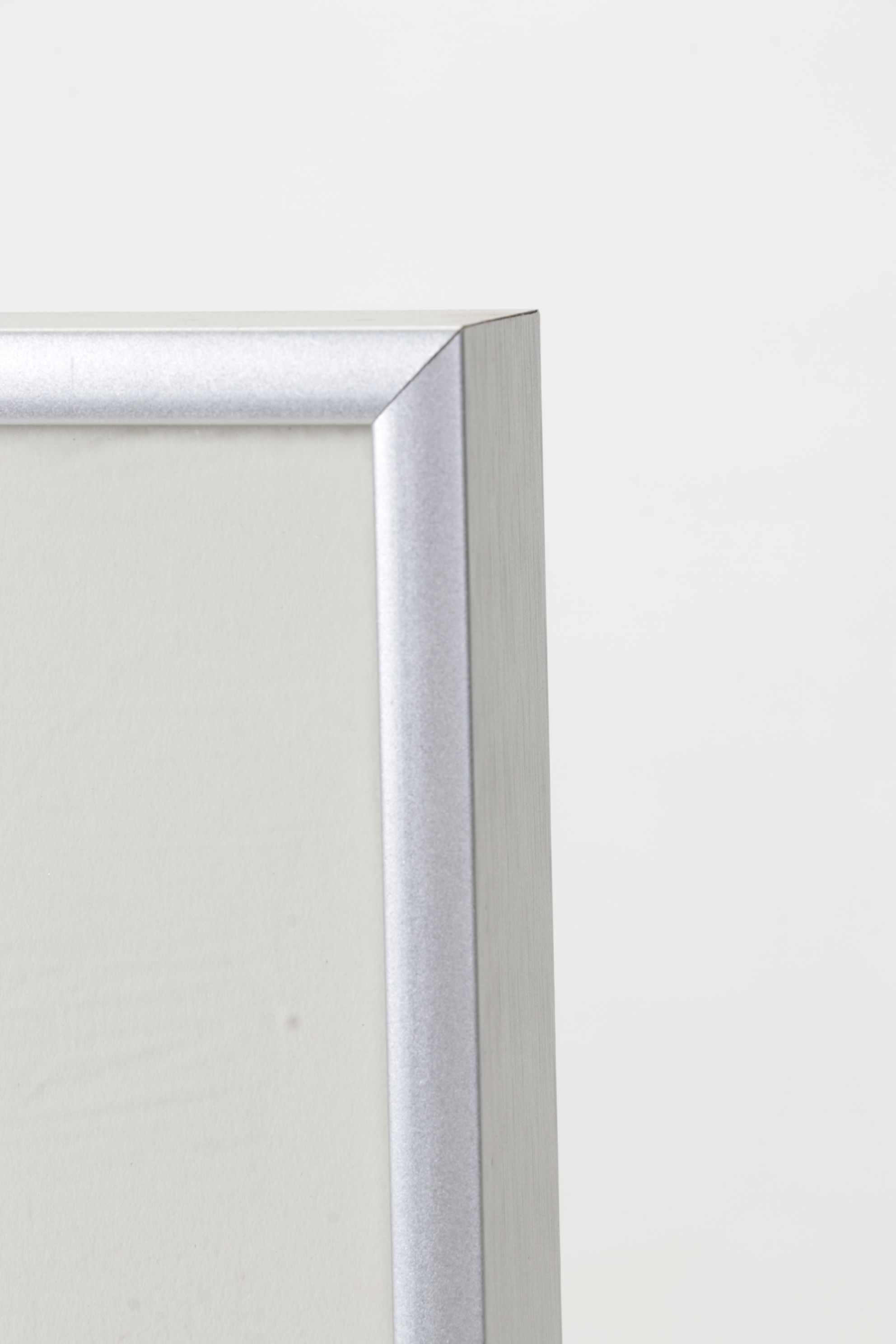 Black and White Digital Photograph Portrait of Curious Cat, Early 21st Century