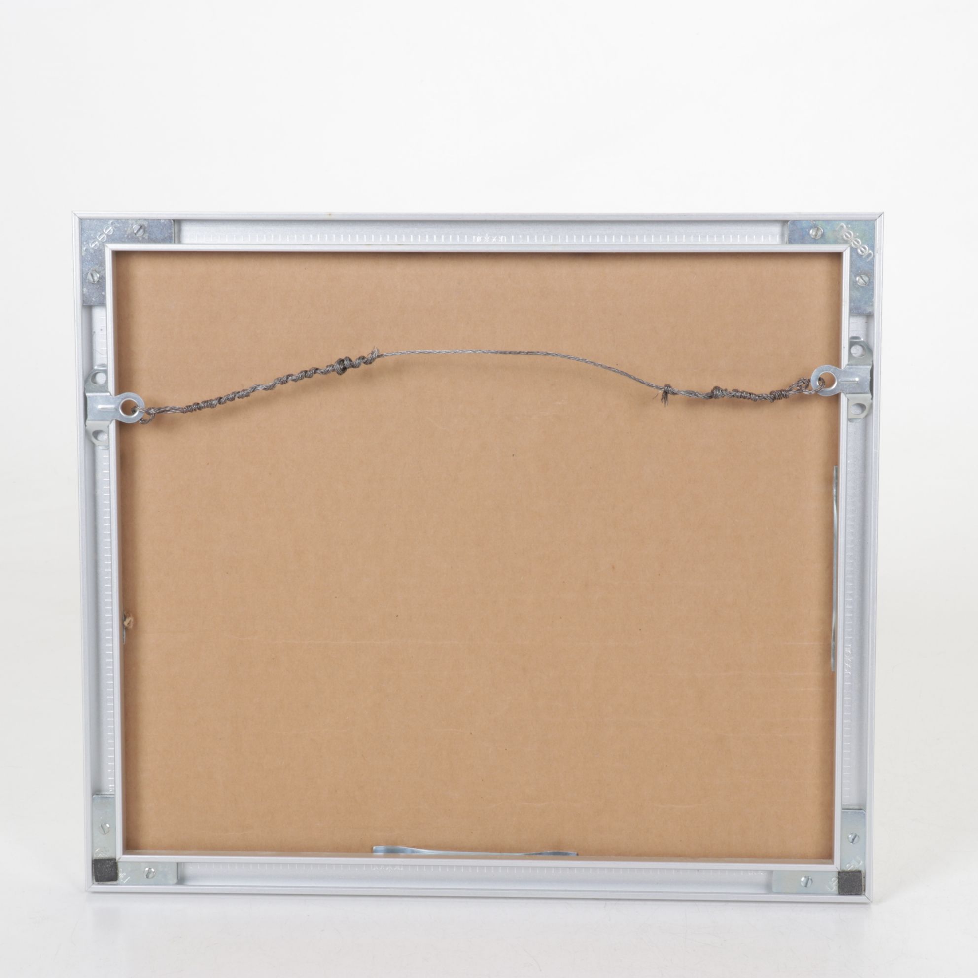 Black and White Digital Photograph Portrait of Curious Cat, Early 21st Century