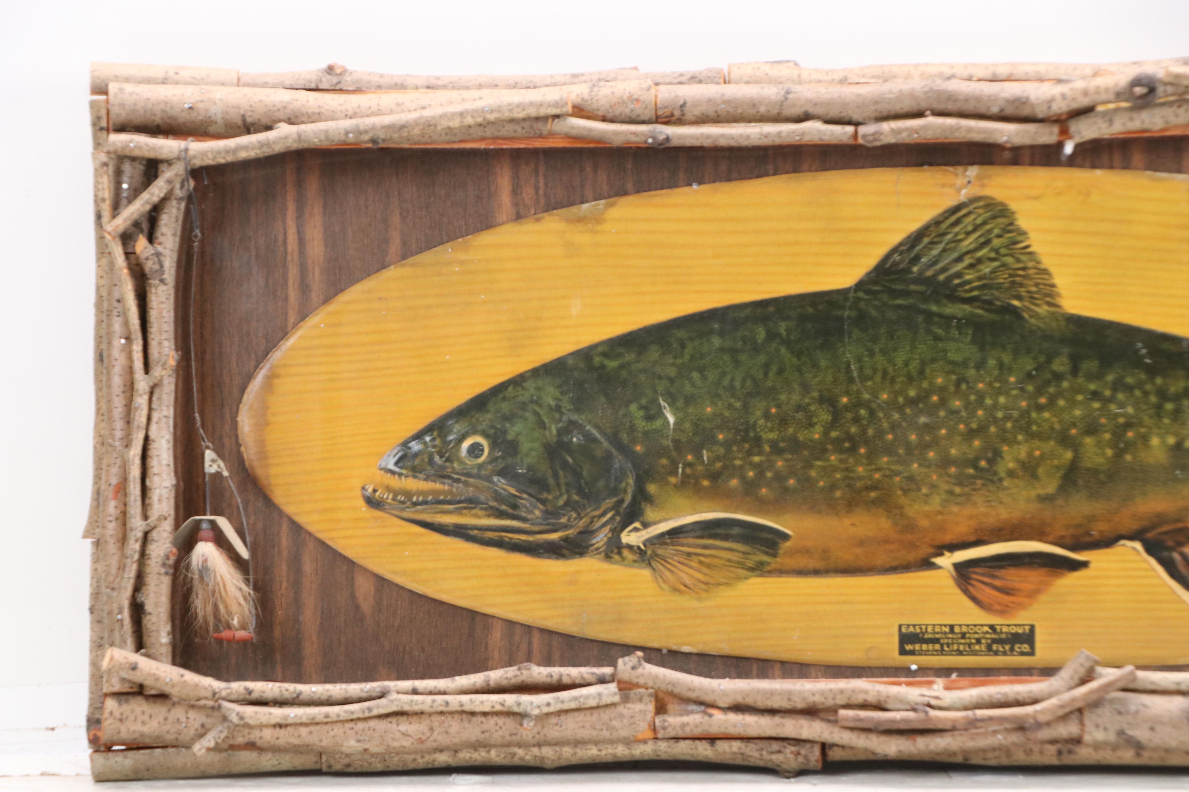 Embossed Halftone Print "Eastern Brook Trout," Circa Early 20th Century