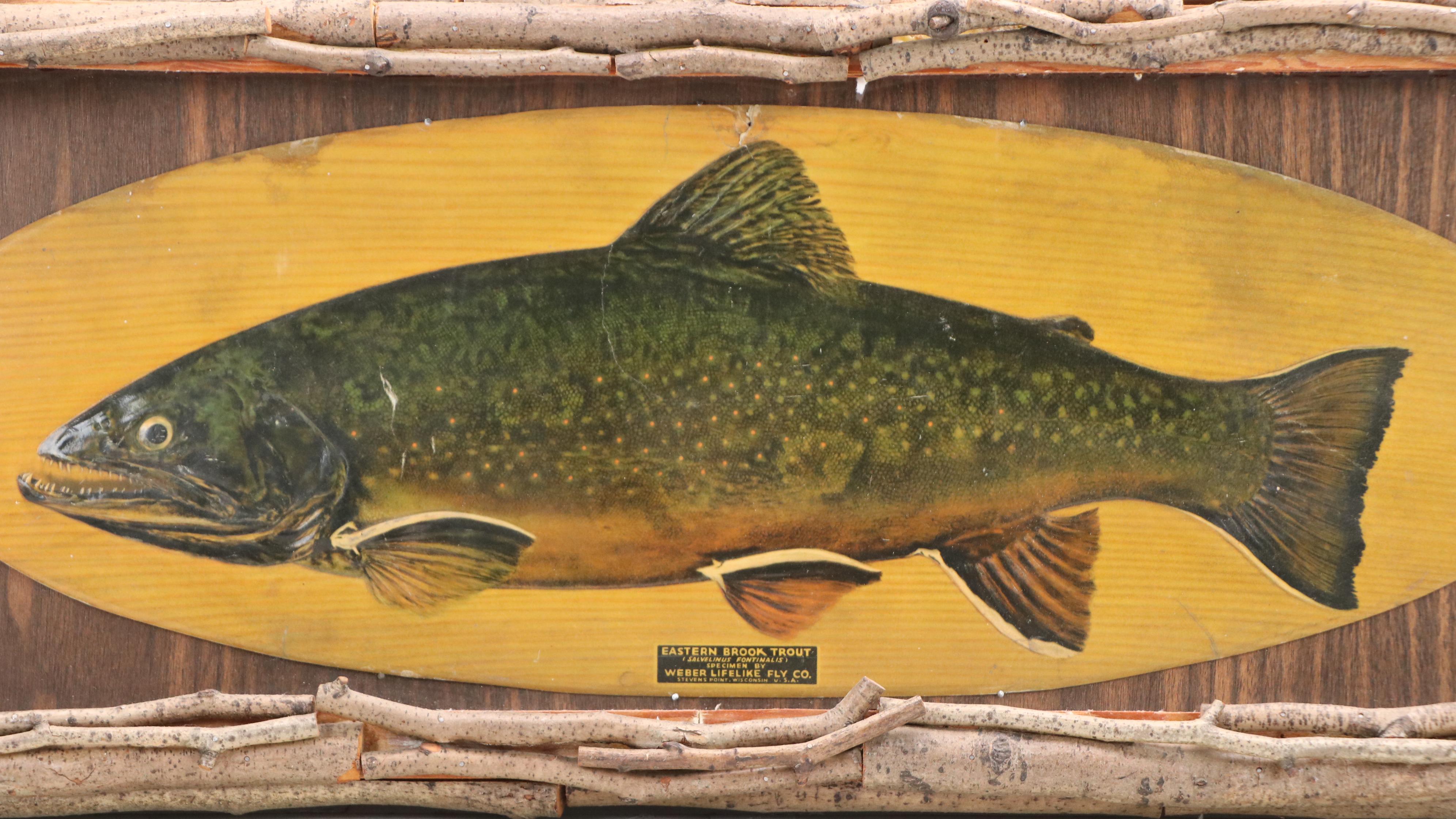 Embossed Halftone Print "Eastern Brook Trout," Circa Early 20th Century