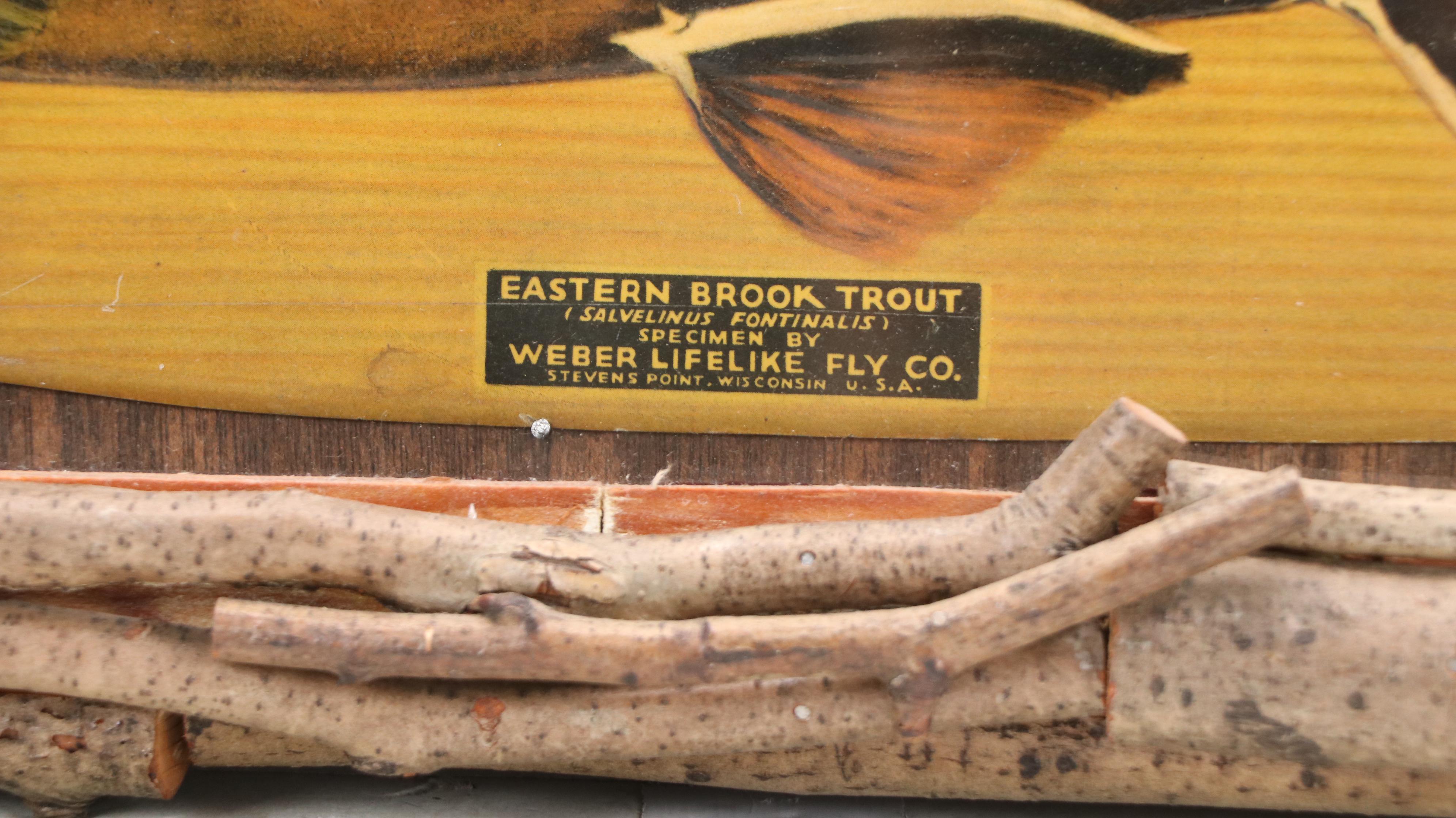 Embossed Halftone Print "Eastern Brook Trout," Circa Early 20th Century