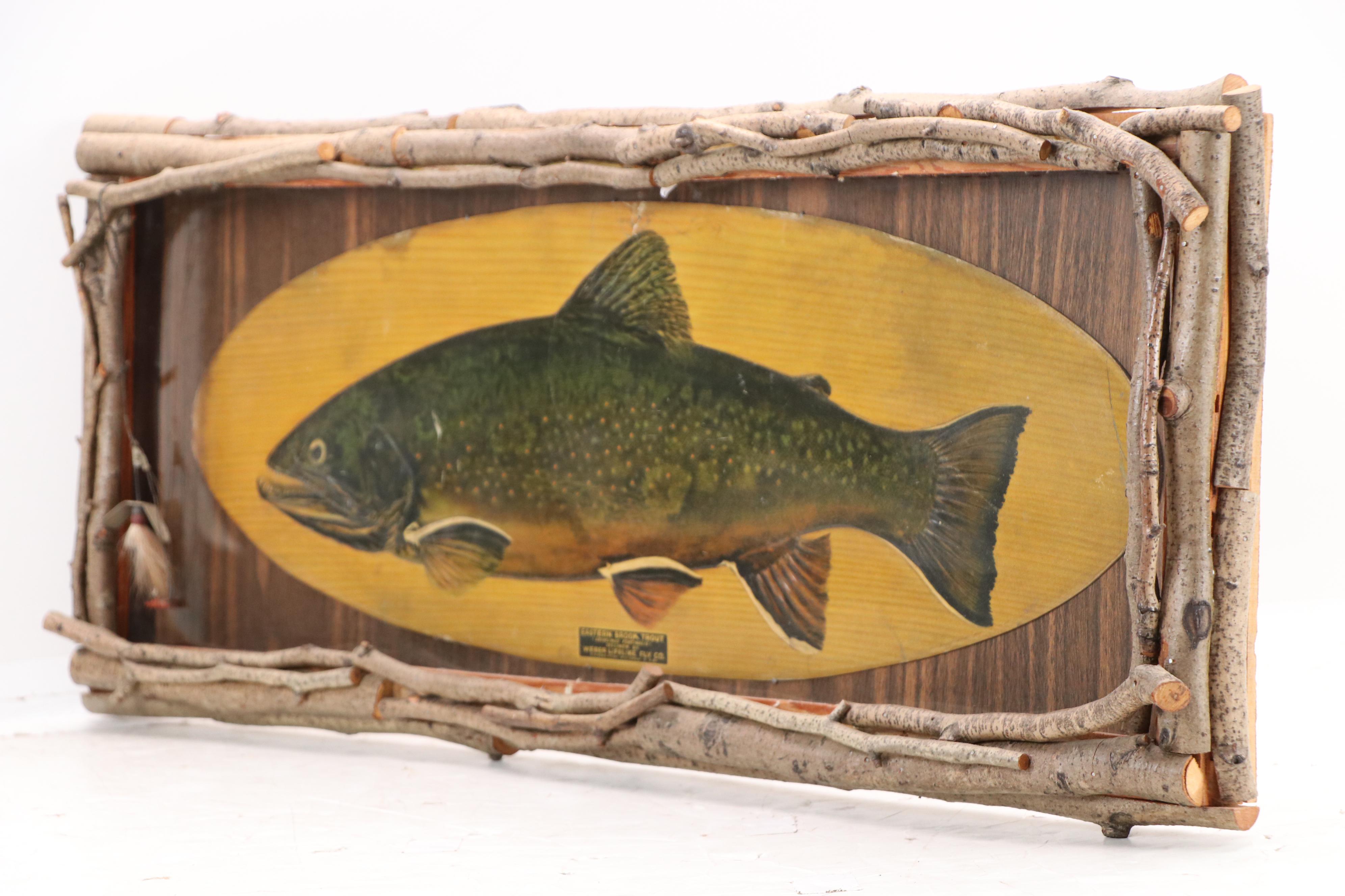 Embossed Halftone Print "Eastern Brook Trout," Circa Early 20th Century