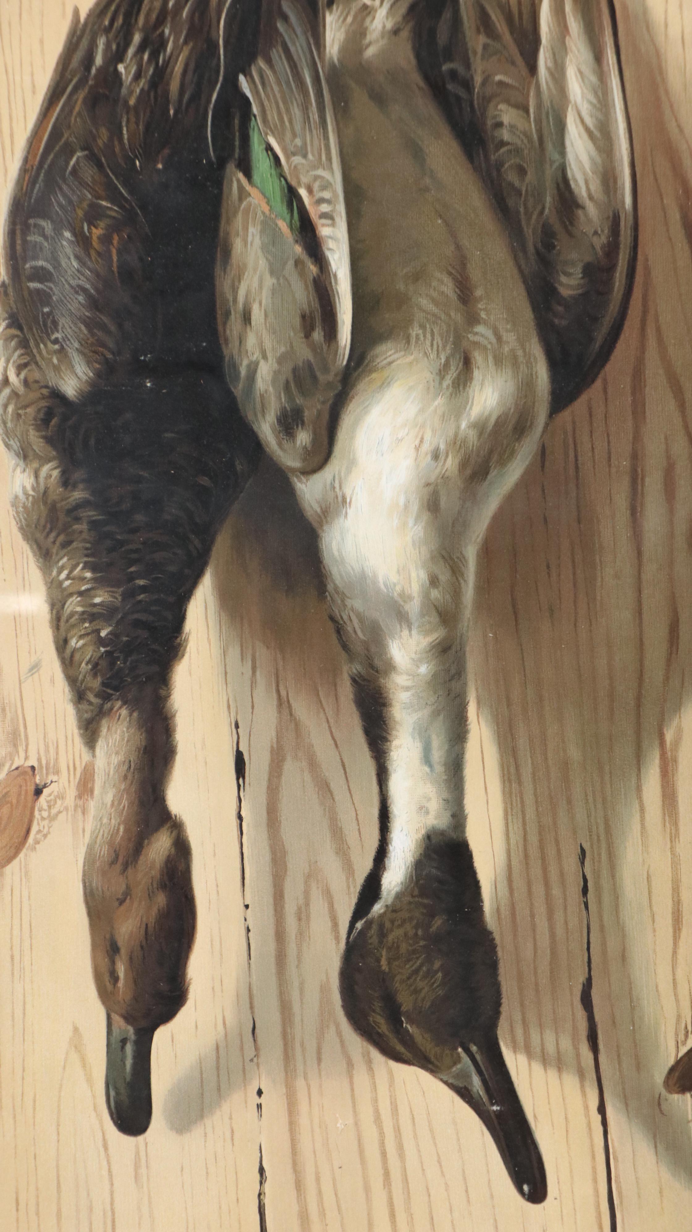 The Knapp Co. Color Lithograph "Ducks," 1897