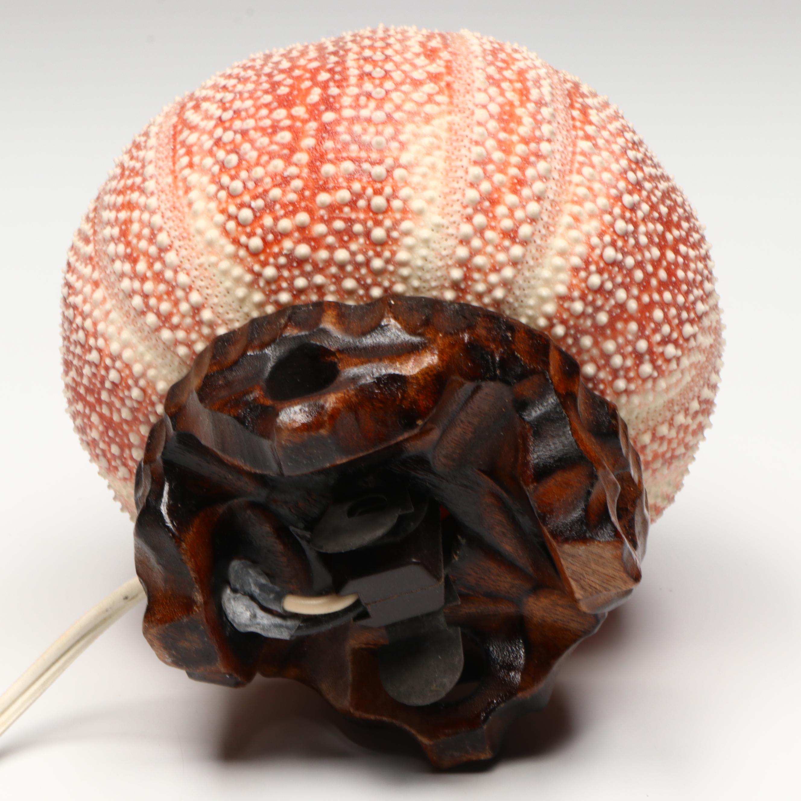 Sea Urchin Accent Lamp with Elkorn Fossil Coral and More Seashells
