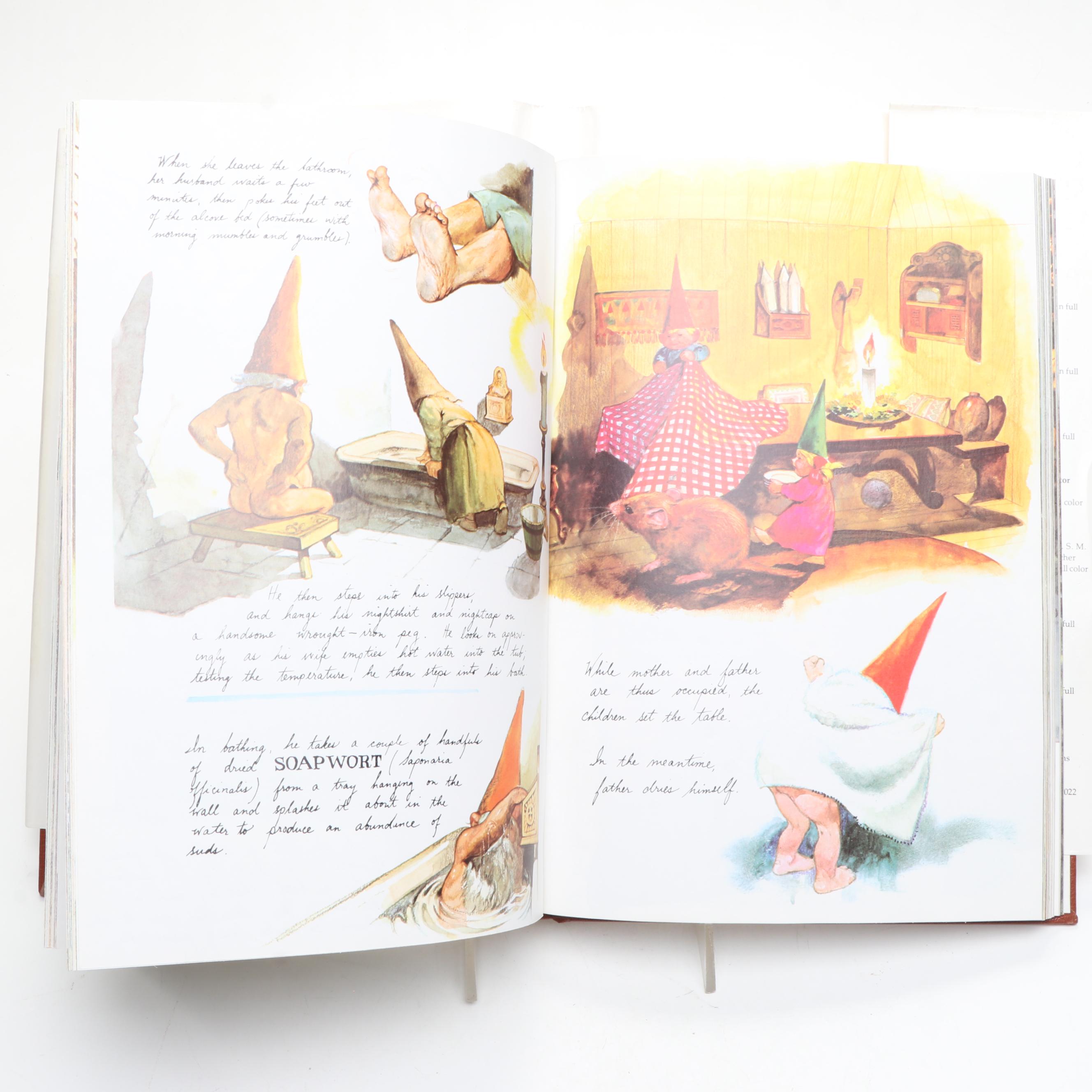 Artist Signed Carved Wood Gnome with "Gnomes" Book