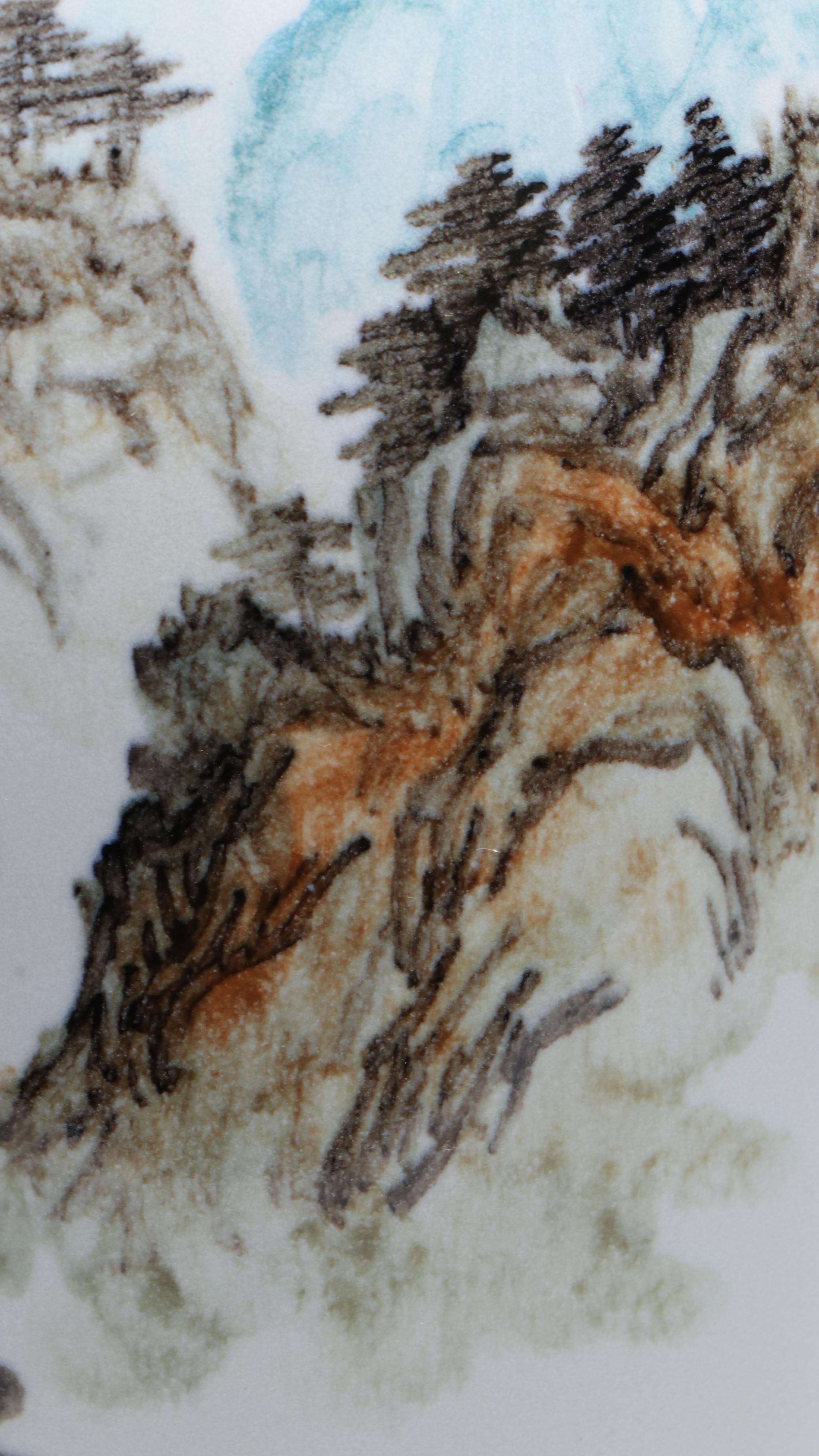 Japanese Peacocks Porcelain Vase with Plates and Chinese Porcelain Vase