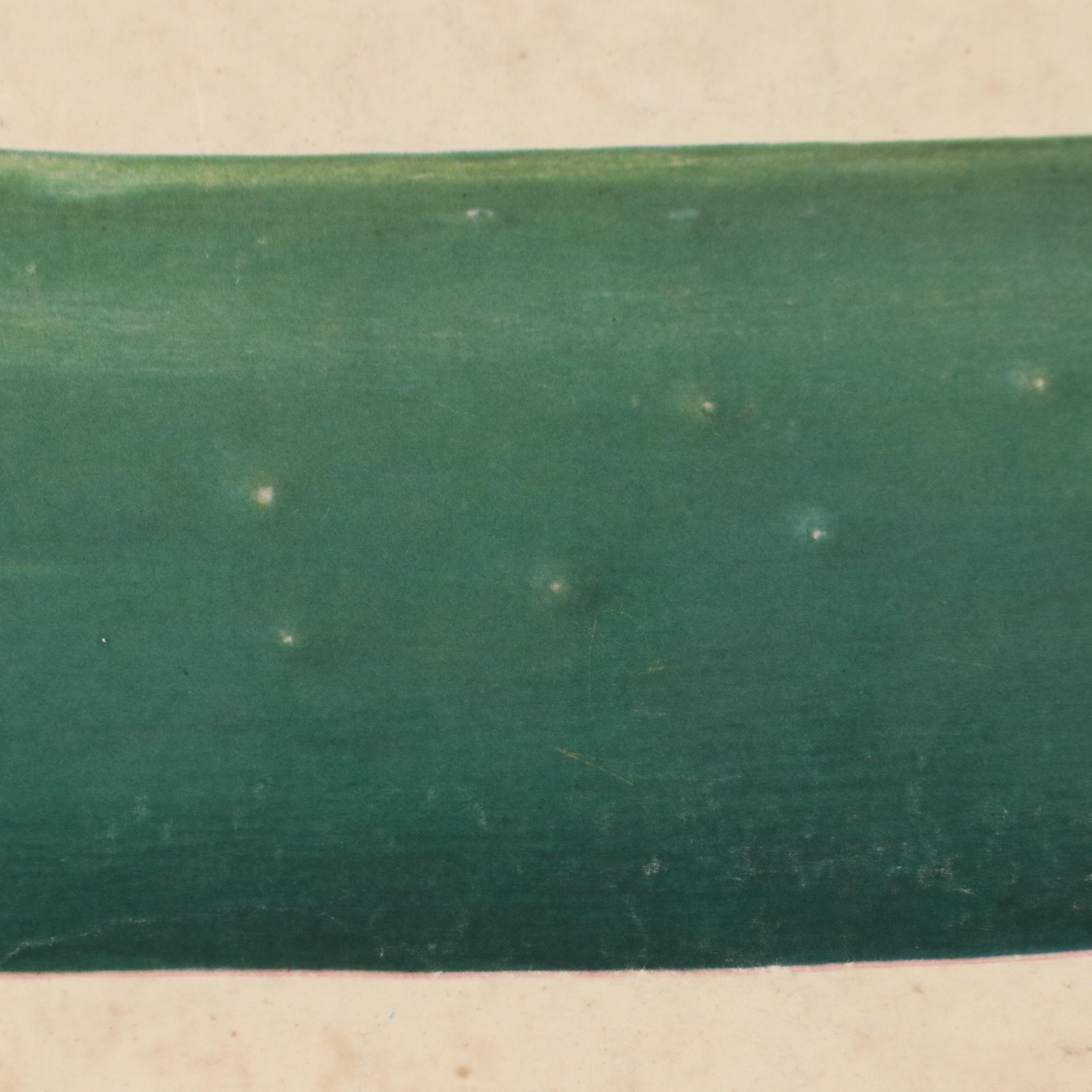 Czech Offset Lithograph Educational Poster "Okurka," 1959