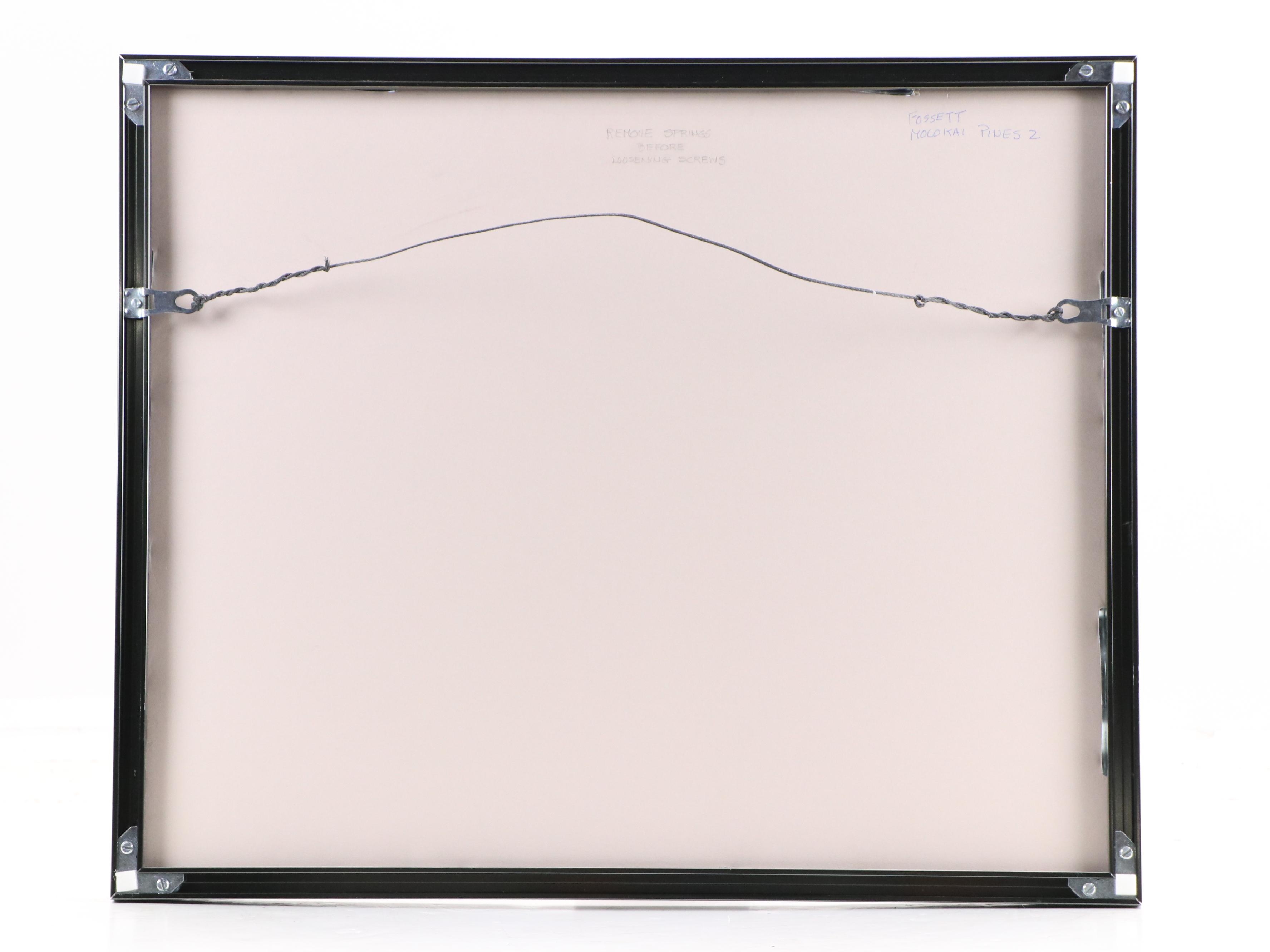 Impressionistic Pastel Drawing of Hawaiian Landscape "Moloka'i Pines," 20th C.