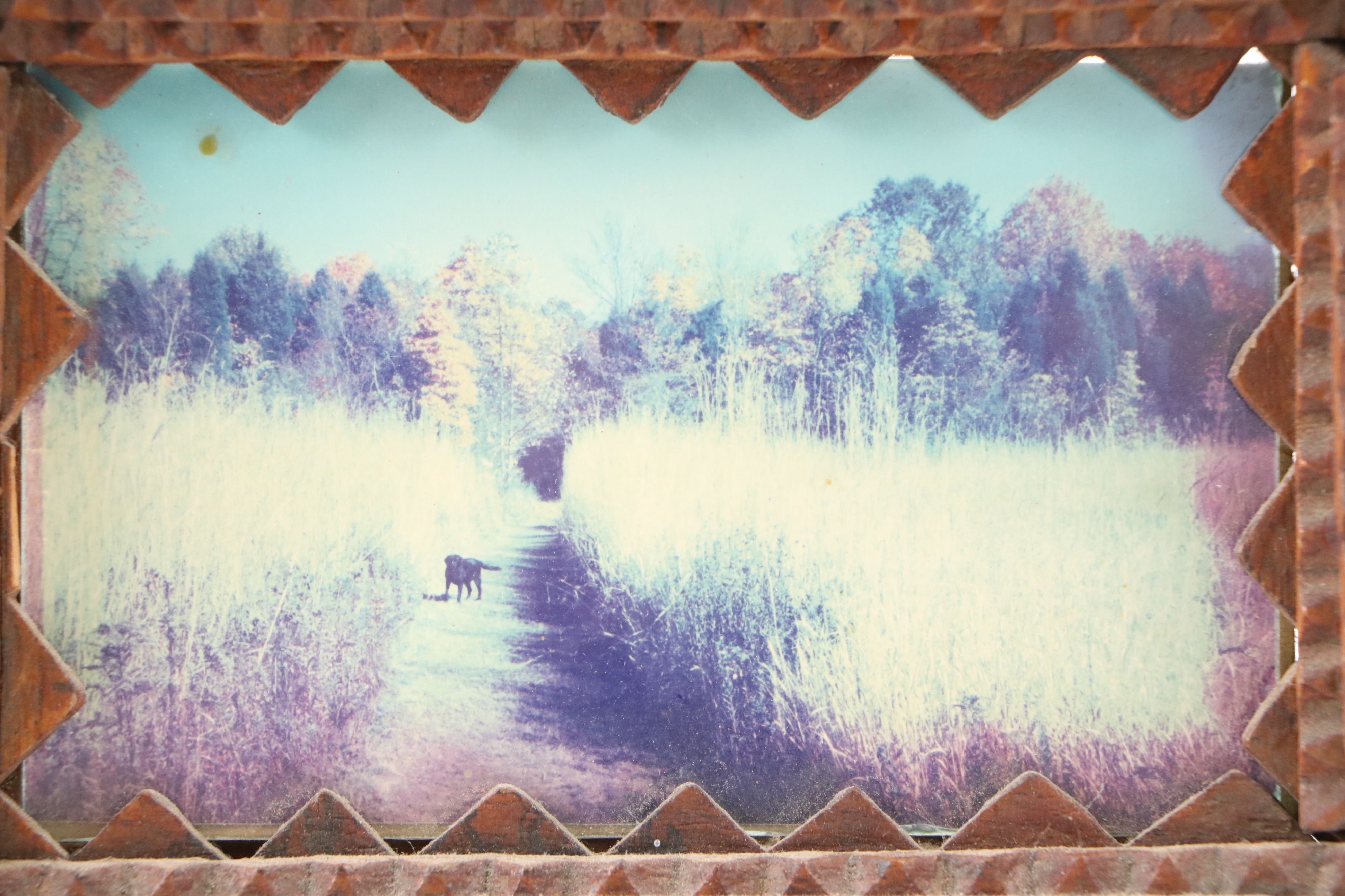 Hand-Carved Wooden Tramp Art Picture Frame with Photo of Labrador, Early 20th C.