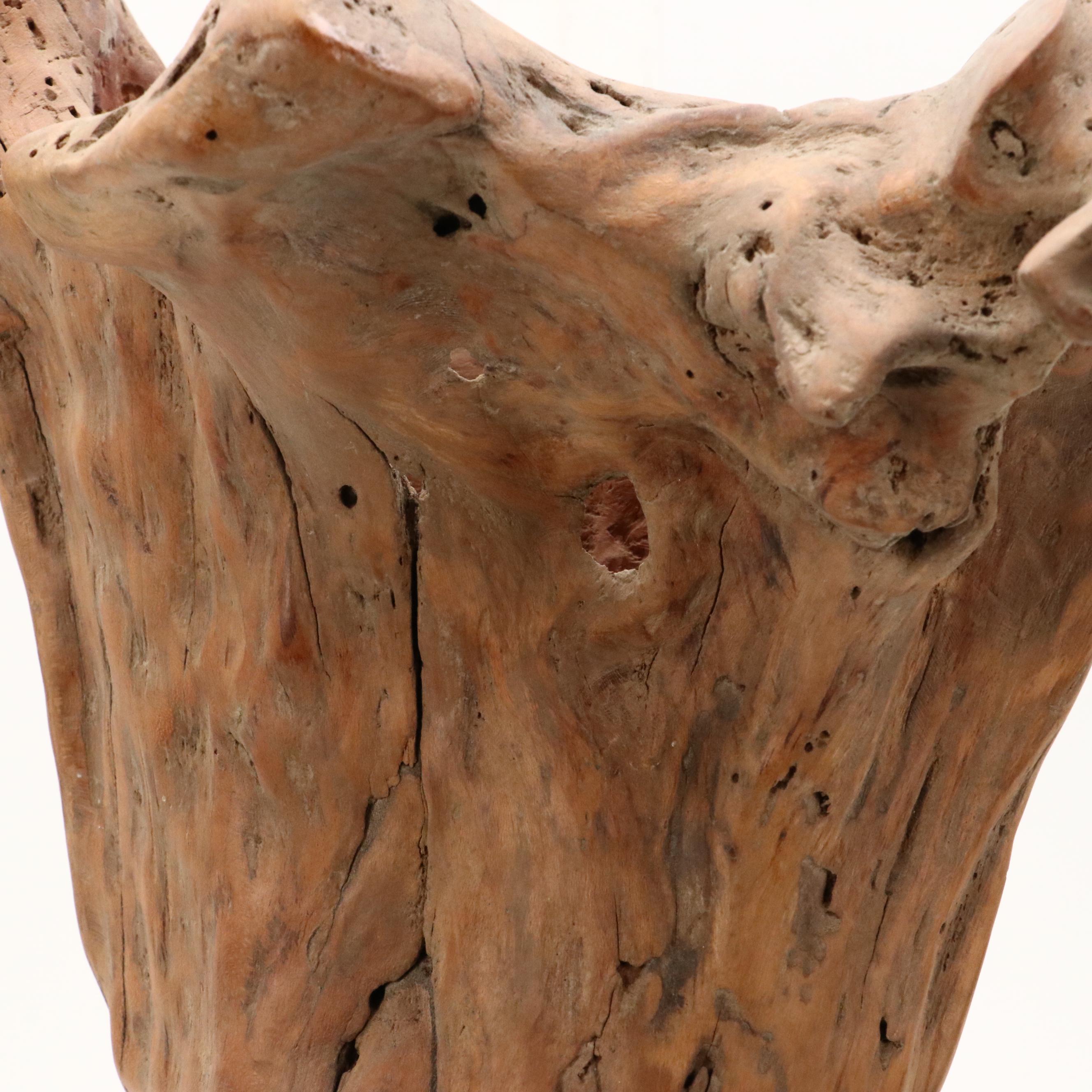 Robert Beaven Organic Found Cedar Wood and Antler Sculpture