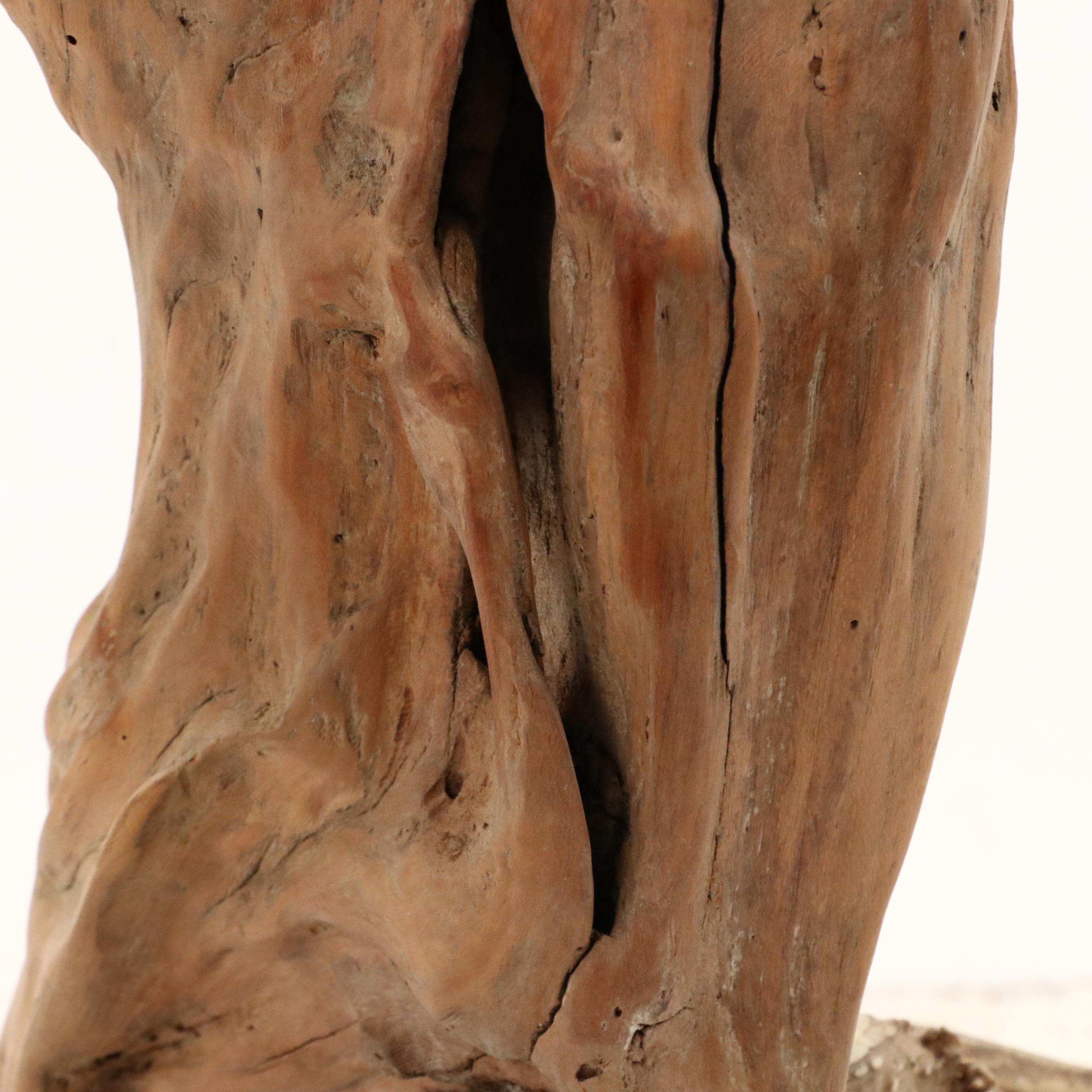 Robert Beaven Organic Found Cedar Wood and Antler Sculpture