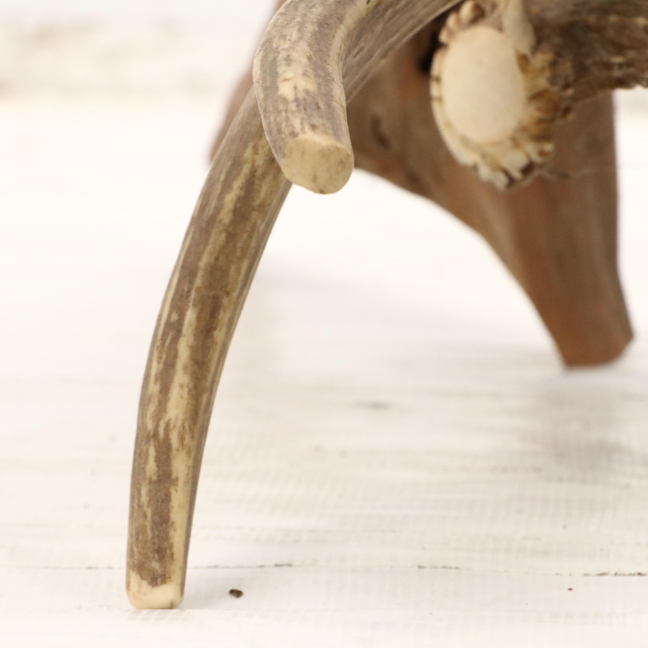 Robert Beaven Organic Found Cedar Wood and Antler Sculpture