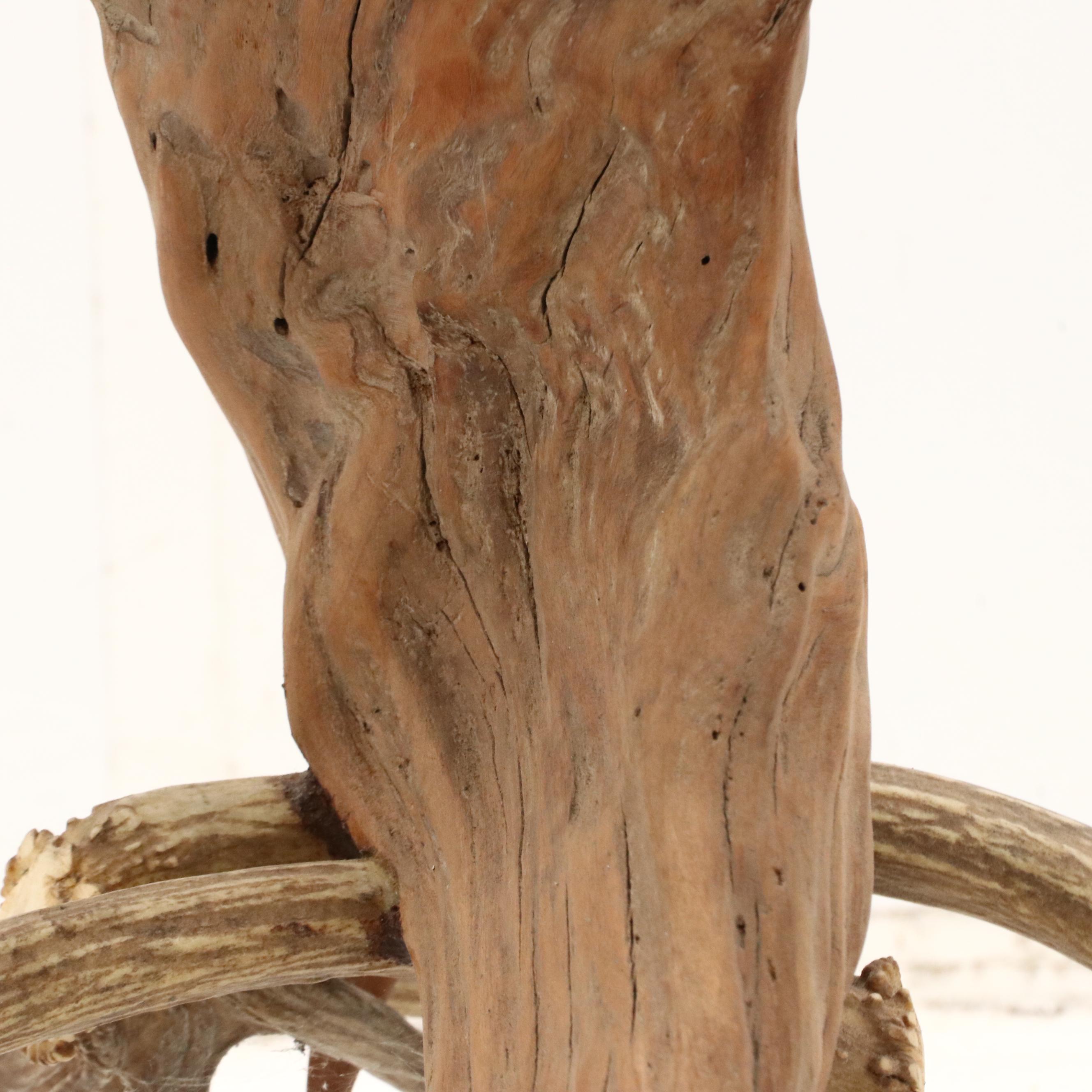 Robert Beaven Organic Found Cedar Wood and Antler Sculpture