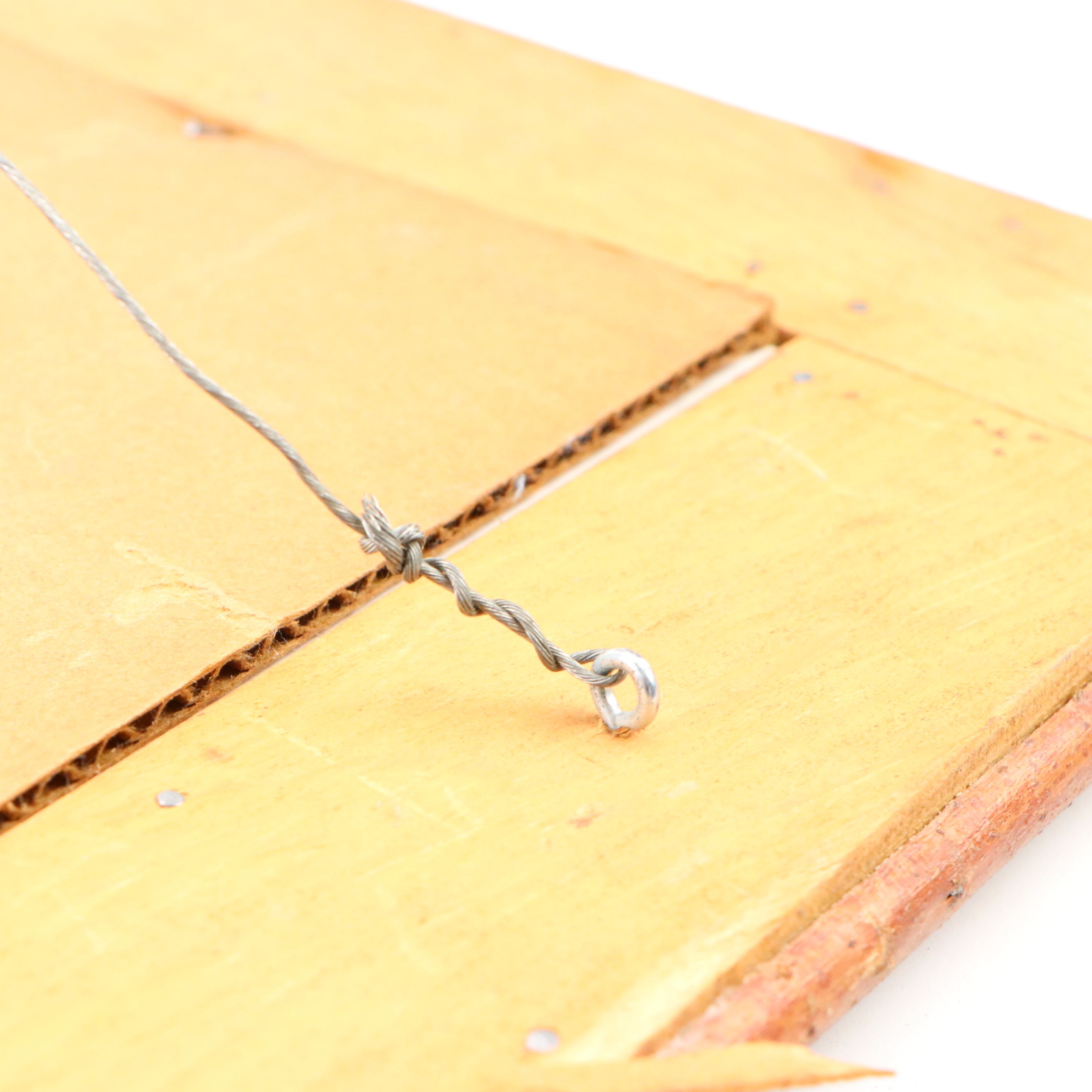 Robert Beaven Folk Art Style Wooden Wall Picture Frame with Labrador Photos