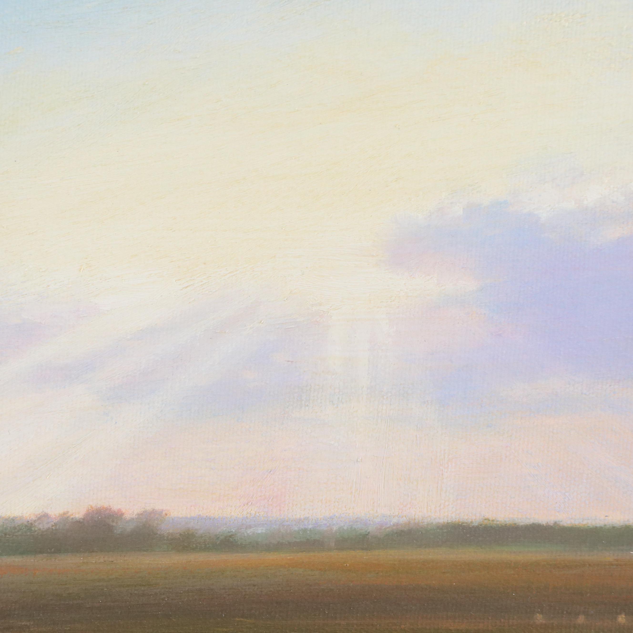 Stephen Bach Landscape Oil Painting "Splendid Light," Early 21st Century