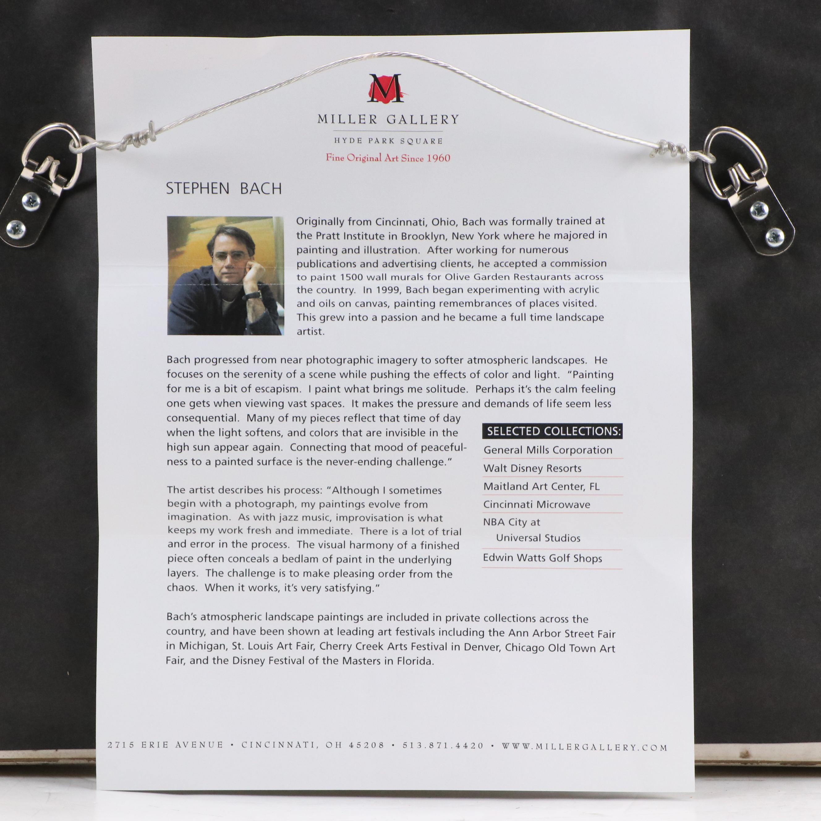 Stephen Bach Landscape Oil Painting "Splendid Light," Early 21st Century