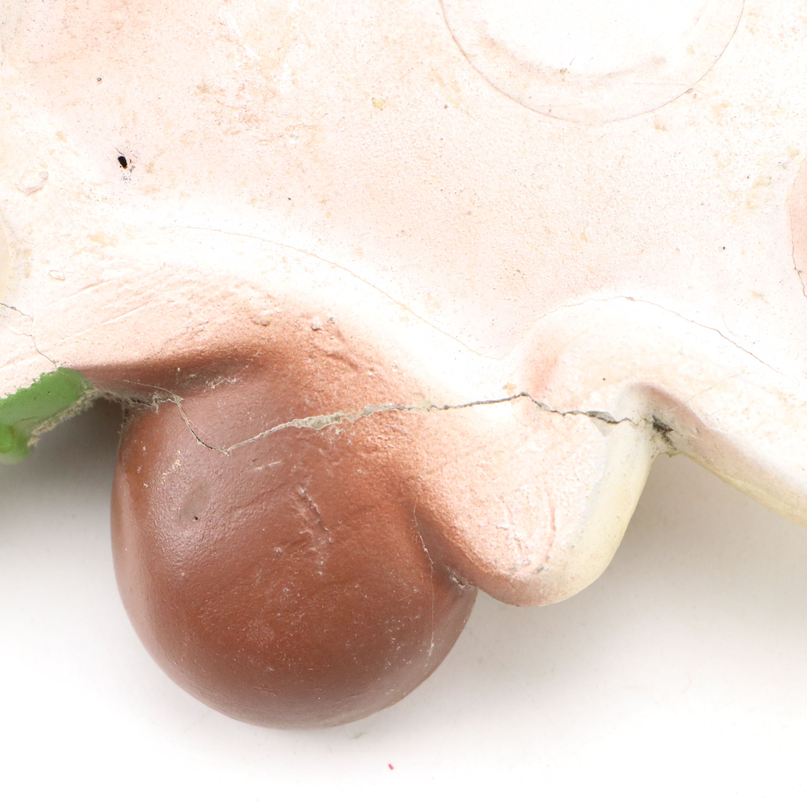 Norleans Chalkware Animal Wall Décor with Vintage Children's Books