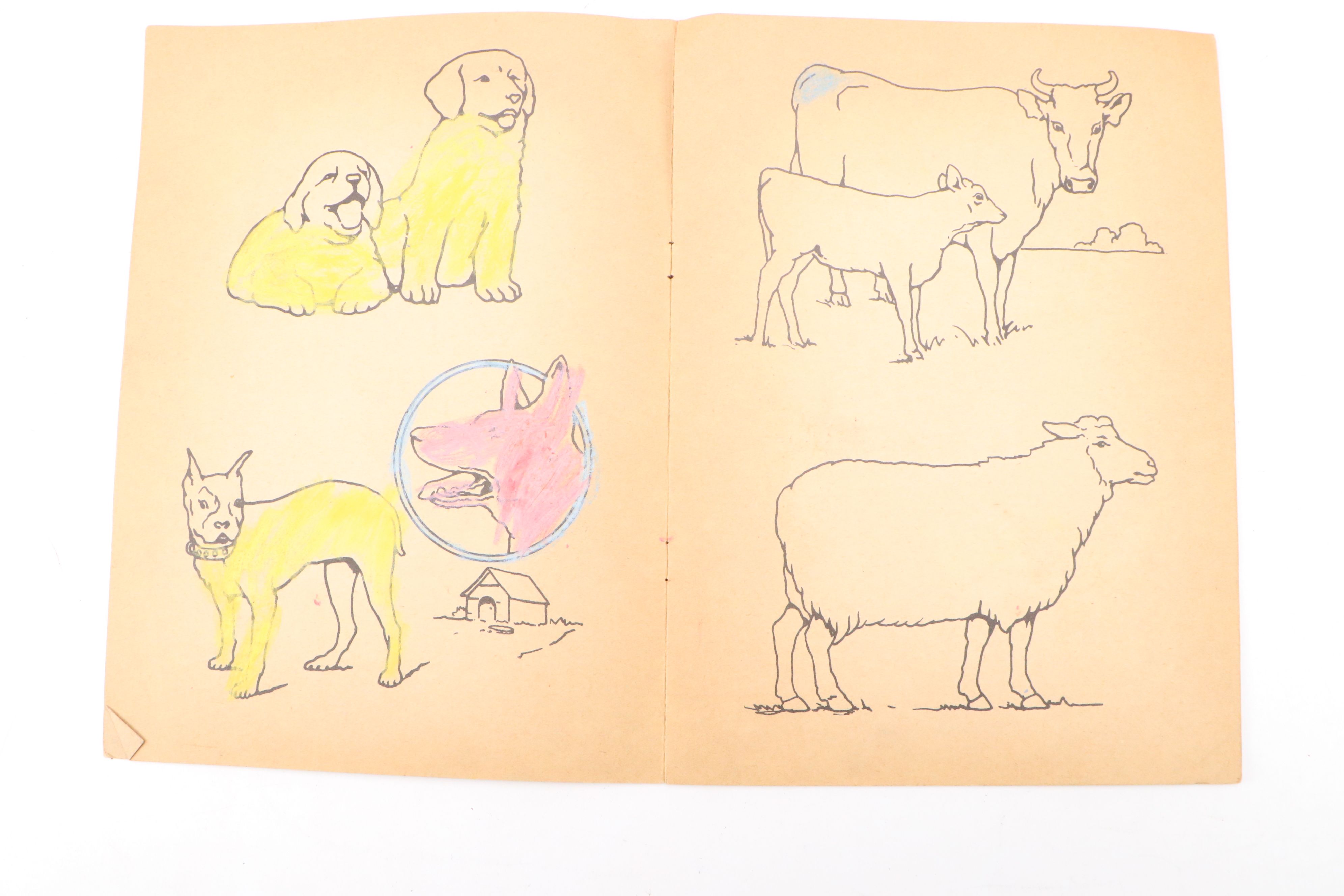 Norleans Chalkware Animal Wall Décor with Vintage Children's Books