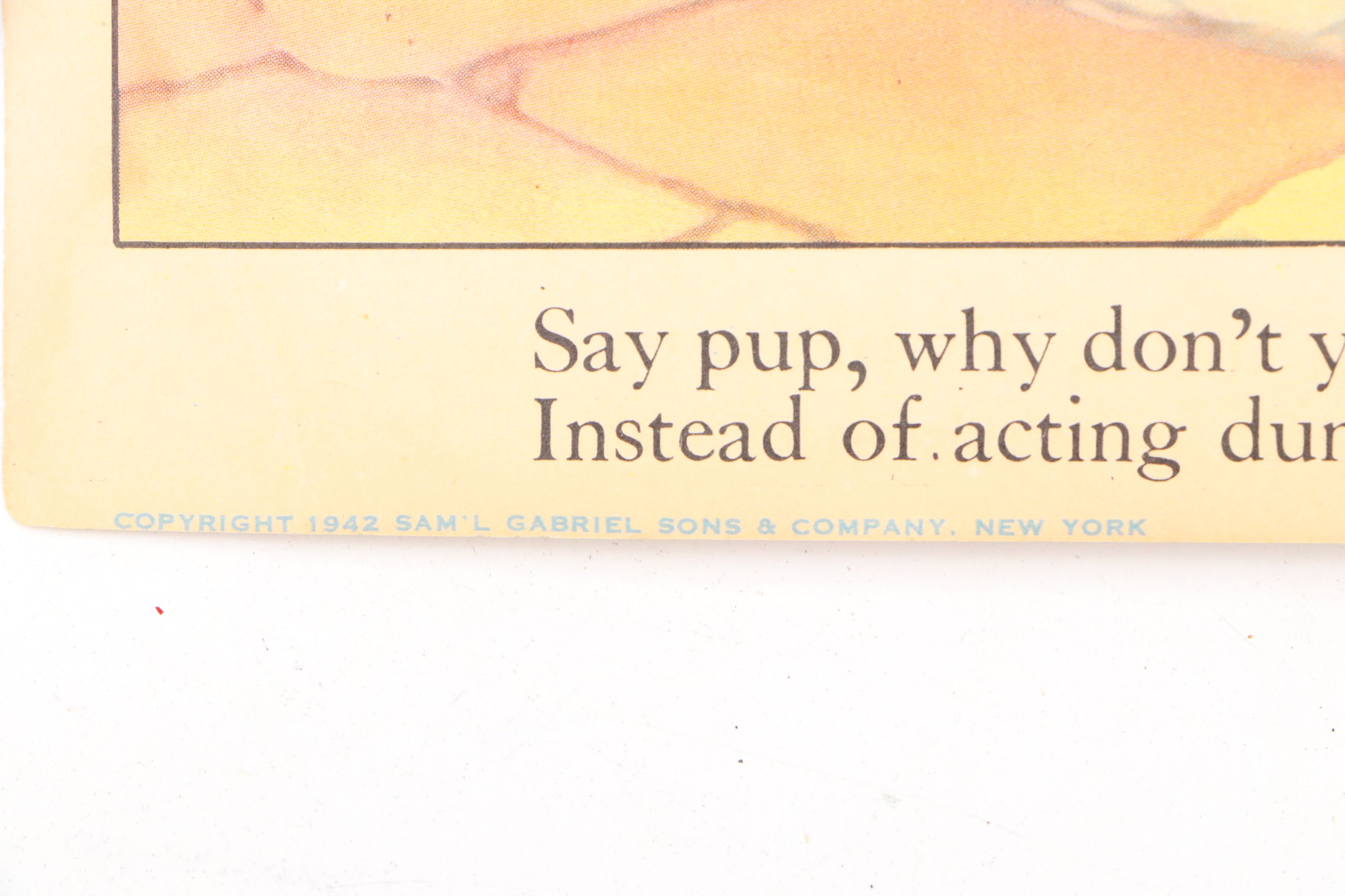 Norleans Chalkware Animal Wall Décor with Vintage Children's Books