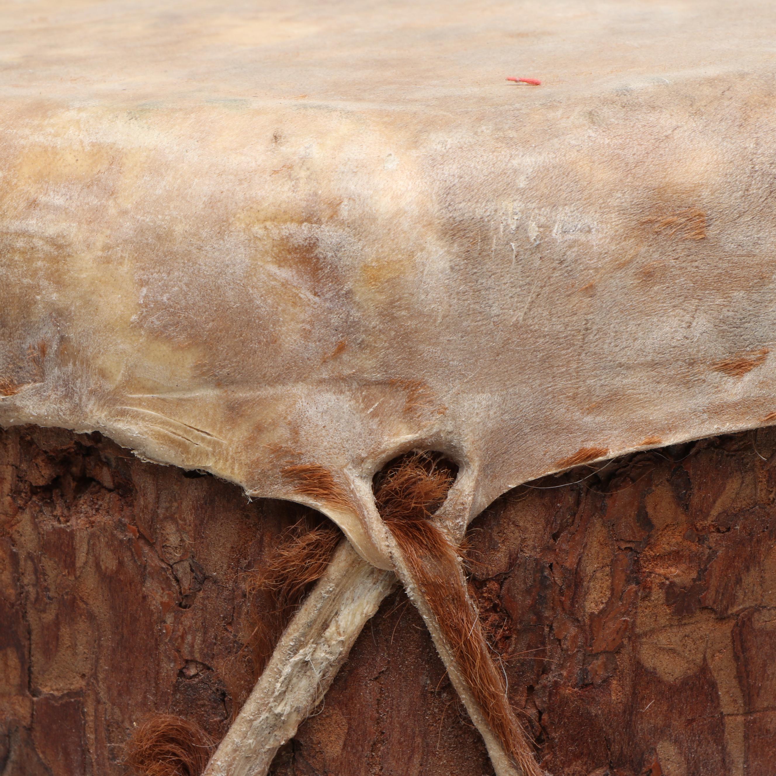 Native American Style Hide Wrapped Rough Pine Wood Drum with Stick