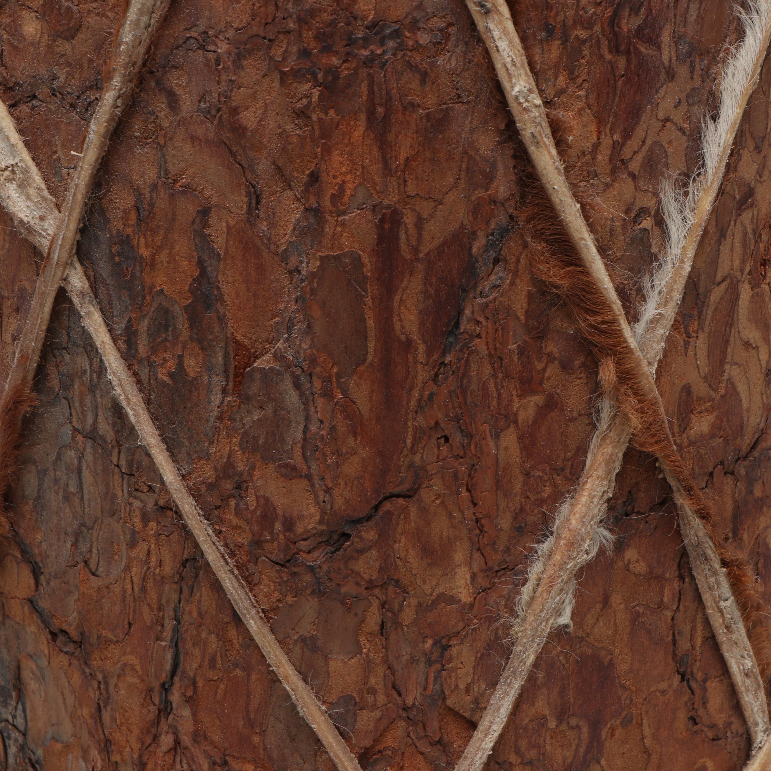 Native American Style Hide Wrapped Rough Pine Wood Drum with Stick