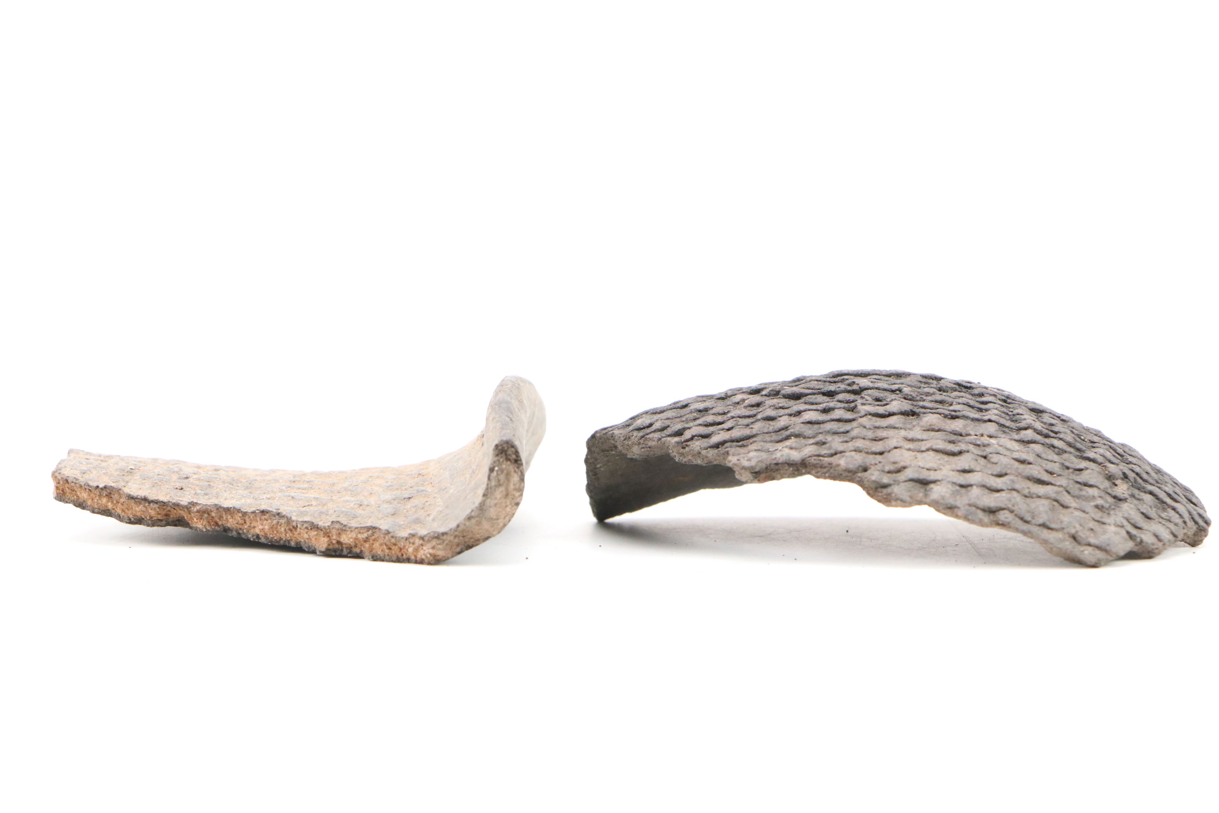 Early Southwest Ancestral Puebloan Pottery Sherds, 300–1300 CE