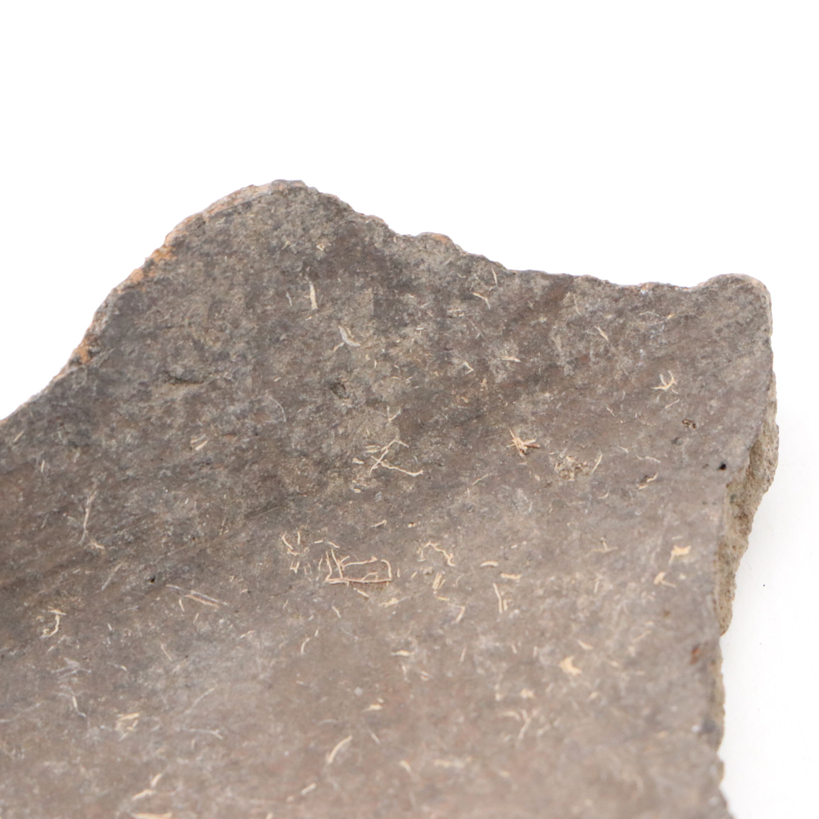 Early Southwest Ancestral Puebloan Pottery Sherds, 300–1300 CE