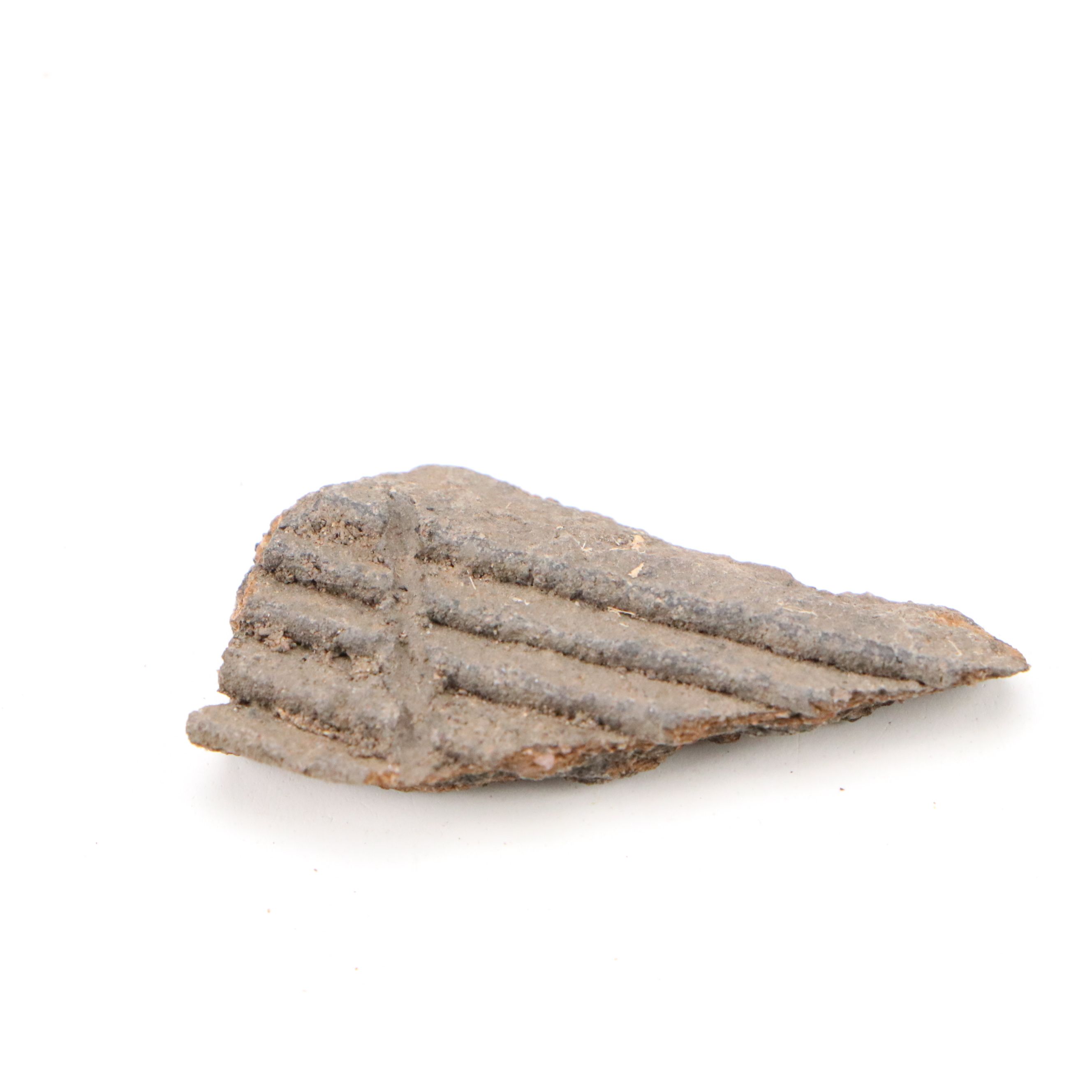 Early Southwest Ancestral Puebloan Pottery Sherds, 300–1300 CE