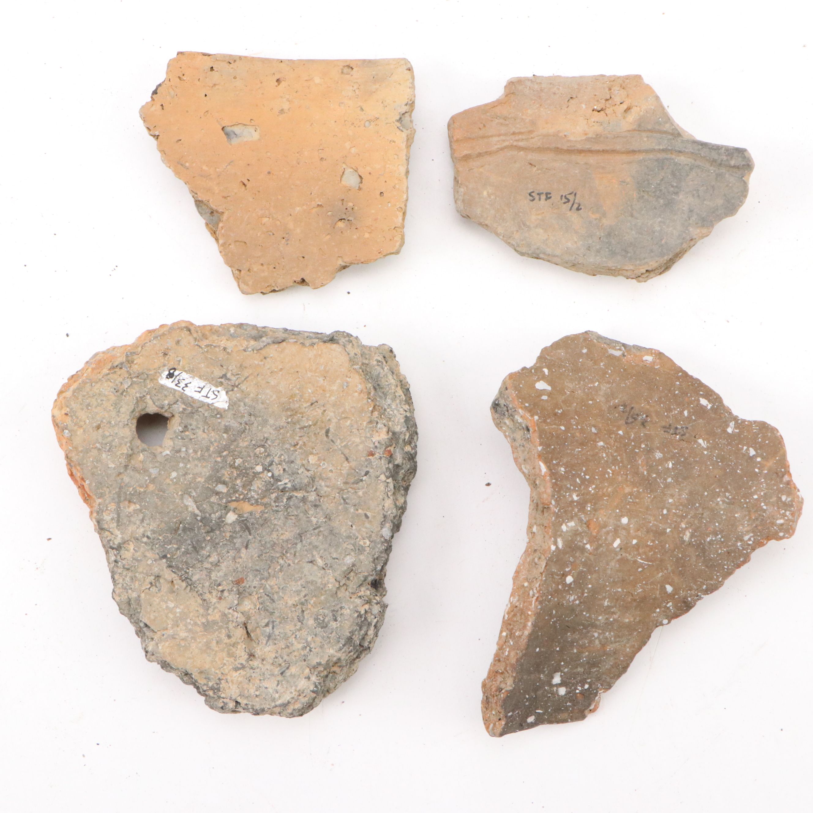 Fort Ancient Shell Tempered Ceramic Potsherds, 1000–1750 CE