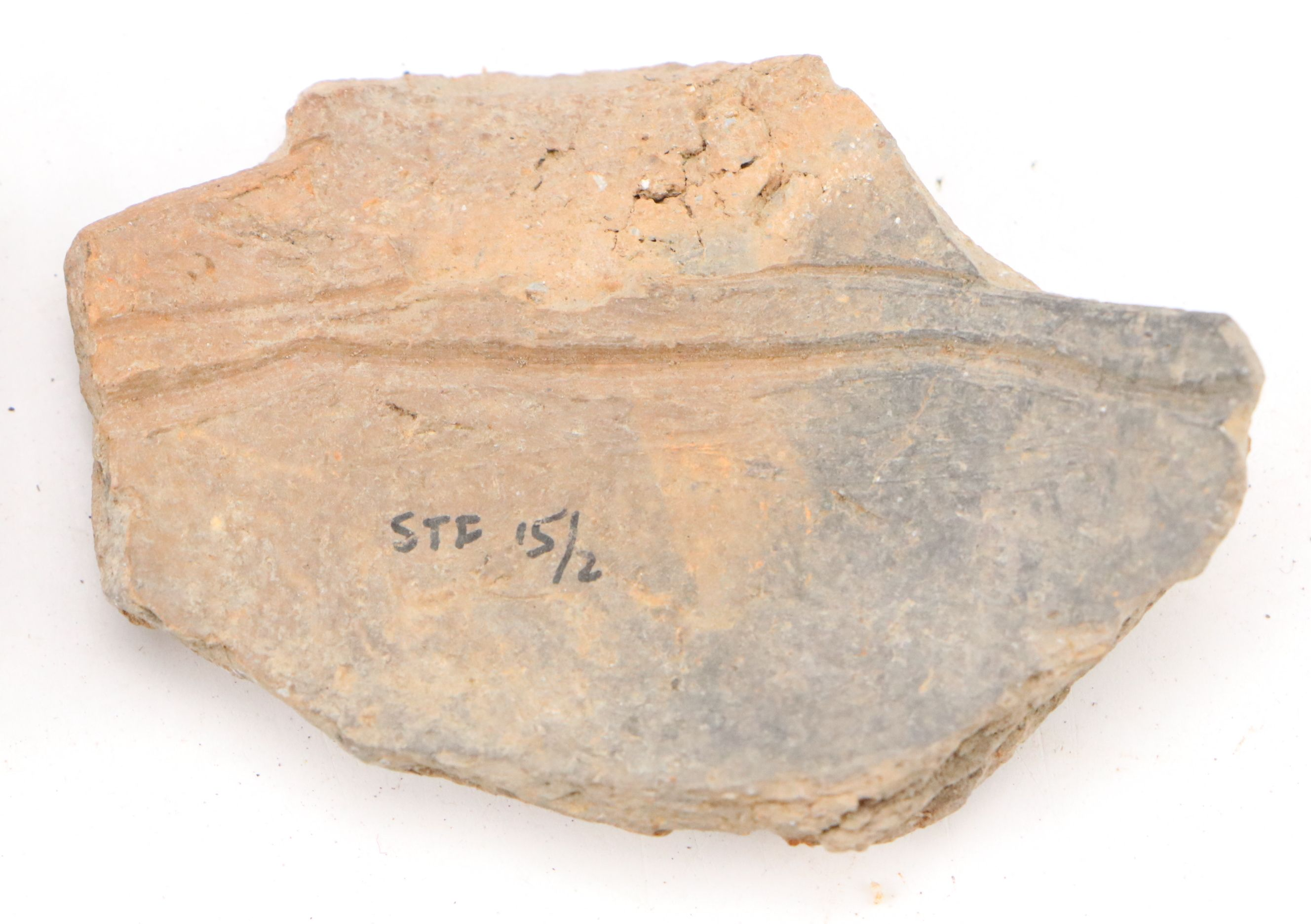 Fort Ancient Shell Tempered Ceramic Potsherds, 1000–1750 CE