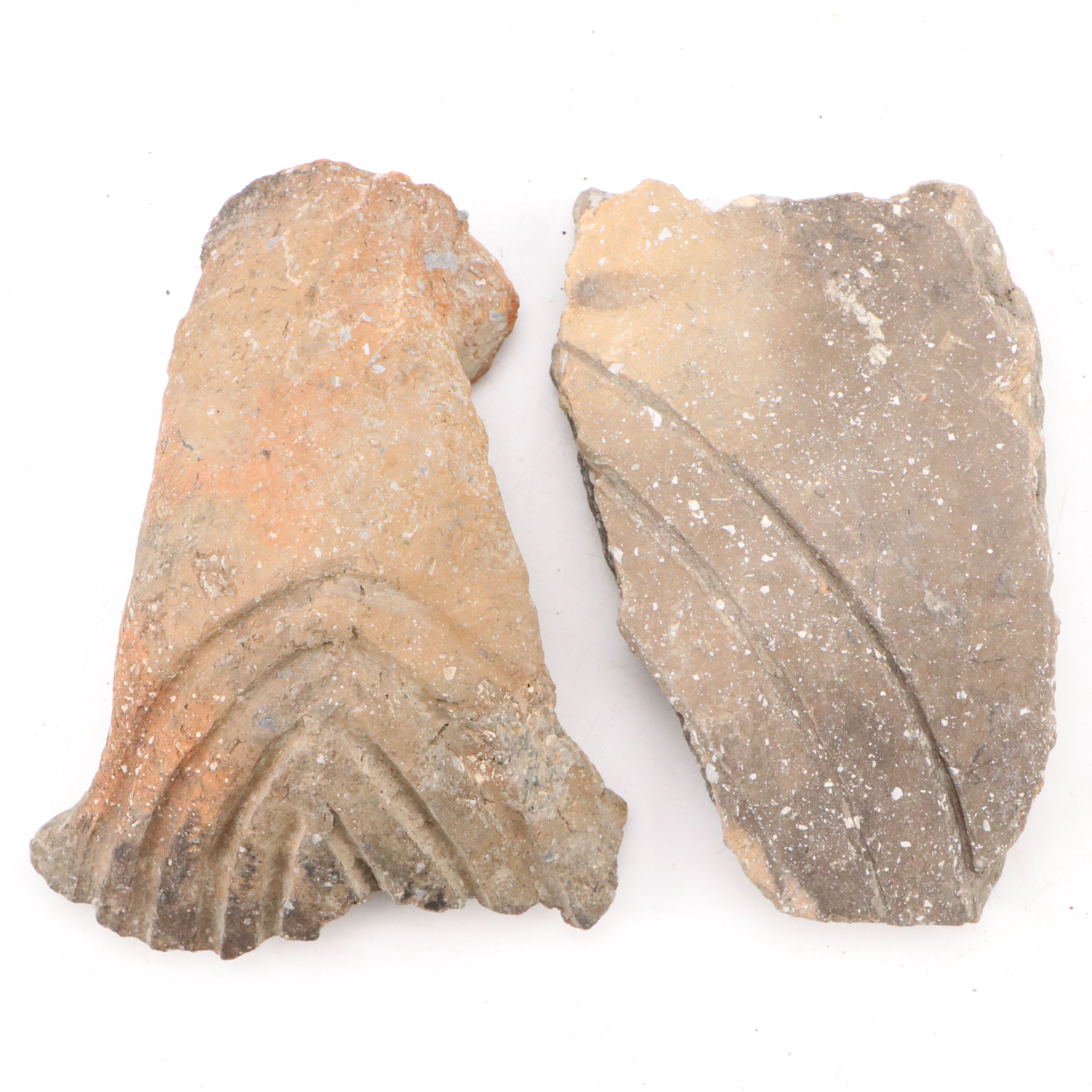 Fort Ancient Shell Tempered Ceramic Potsherds, 1000–1750 CE