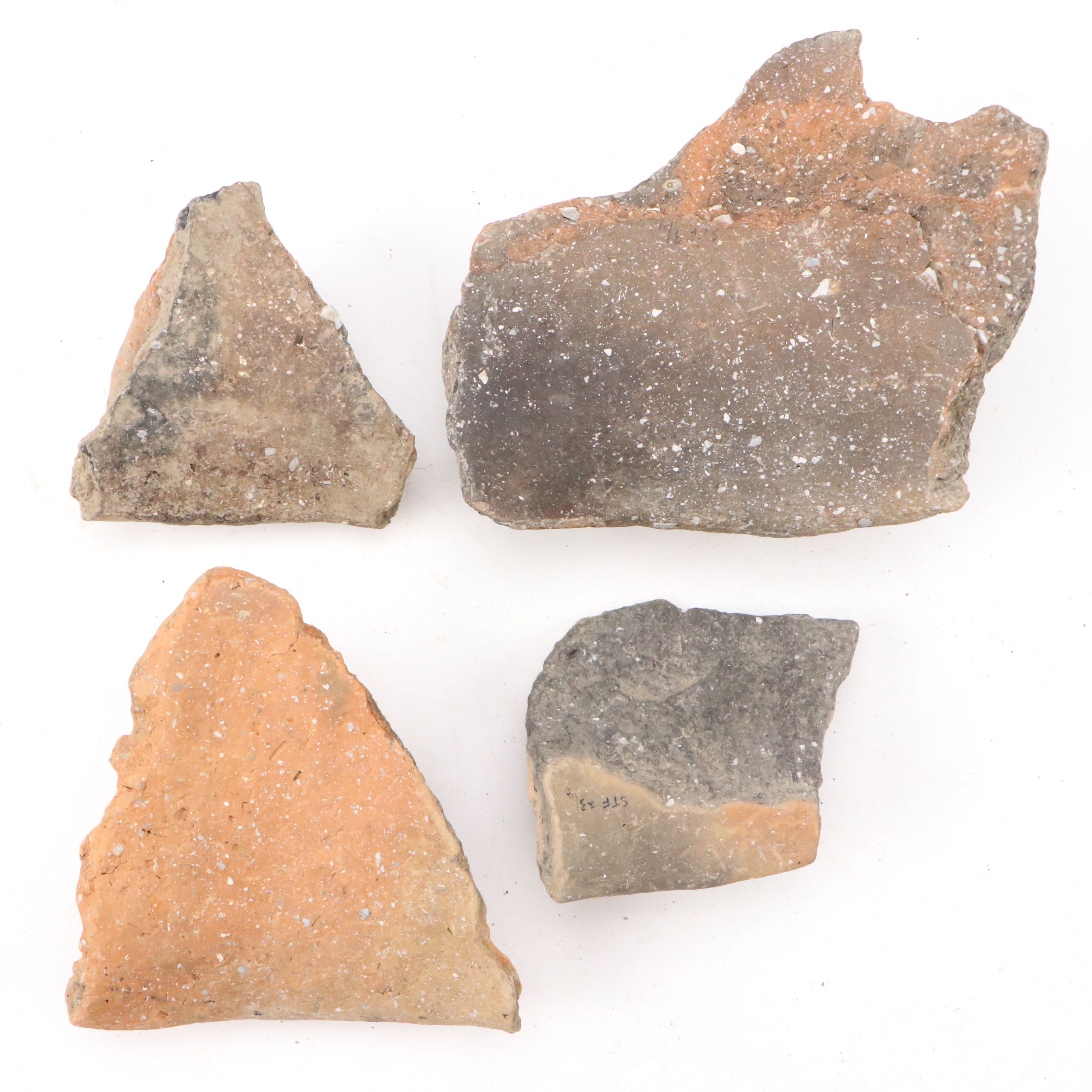 Fort Ancient Shell Tempered Ceramic Potsherds, 1000–1750 CE