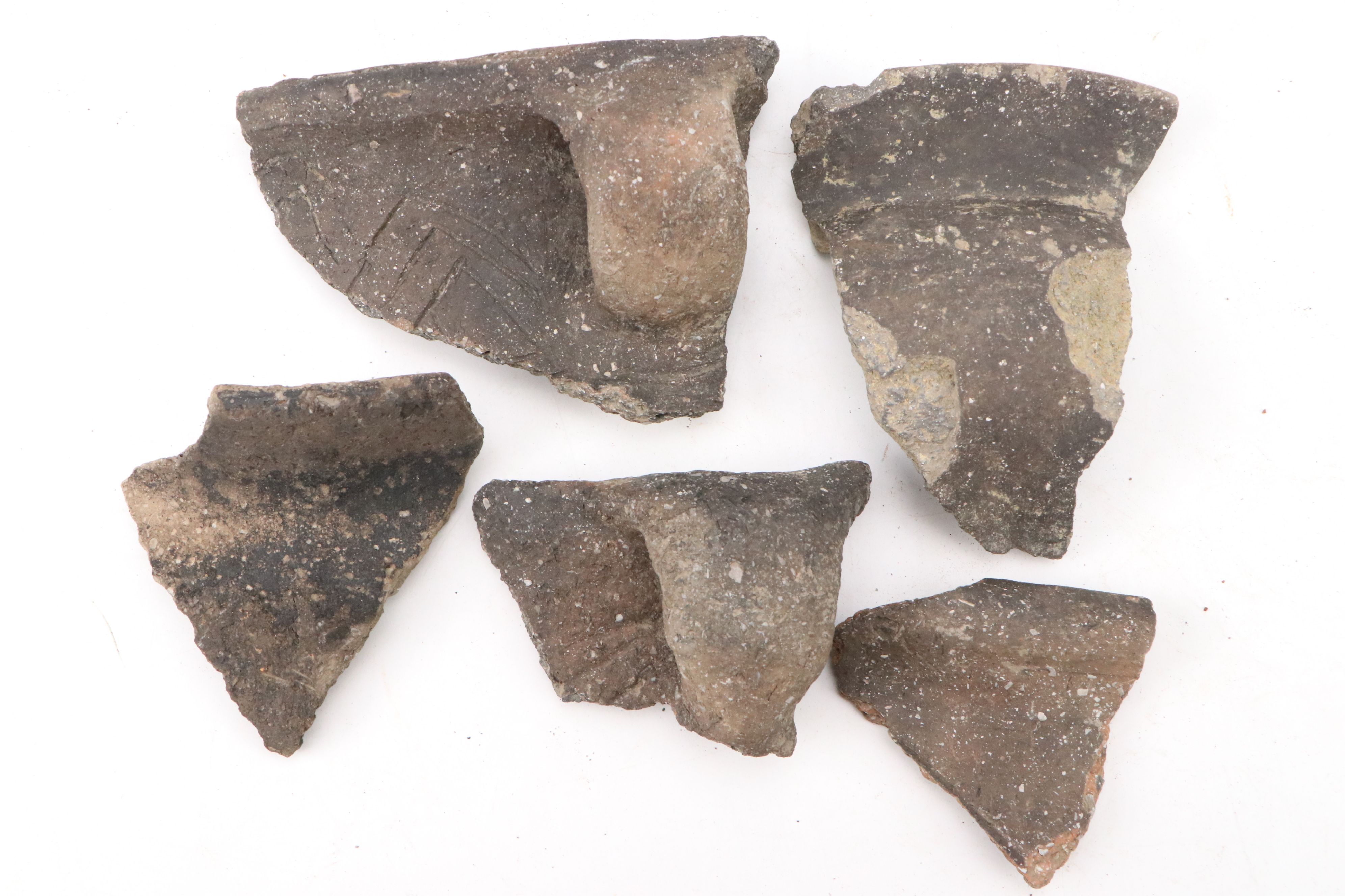 Fort Ancient Shell Tempered Ceramic Potsherds, 1000–1750 CE