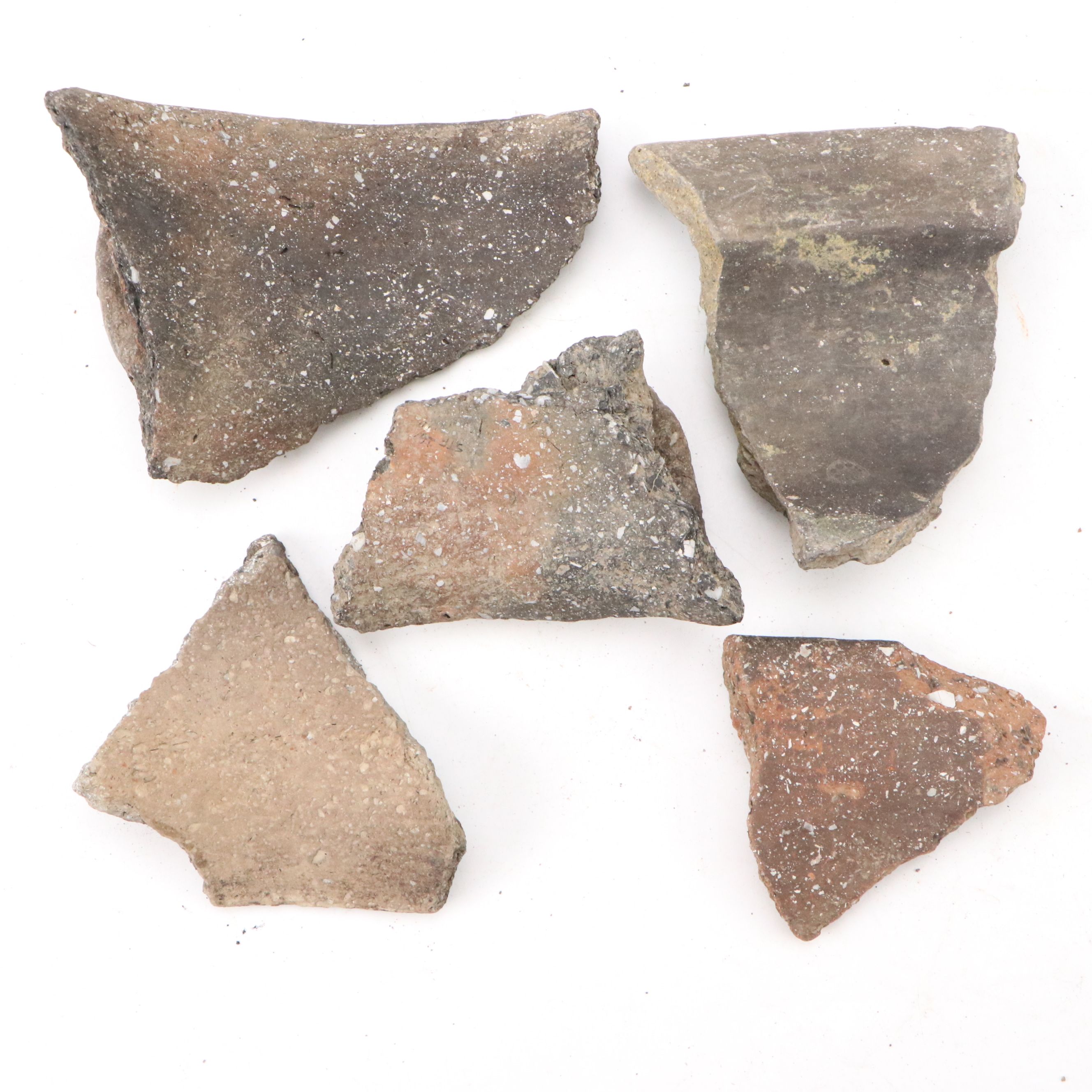 Fort Ancient Shell Tempered Ceramic Potsherds, 1000–1750 CE