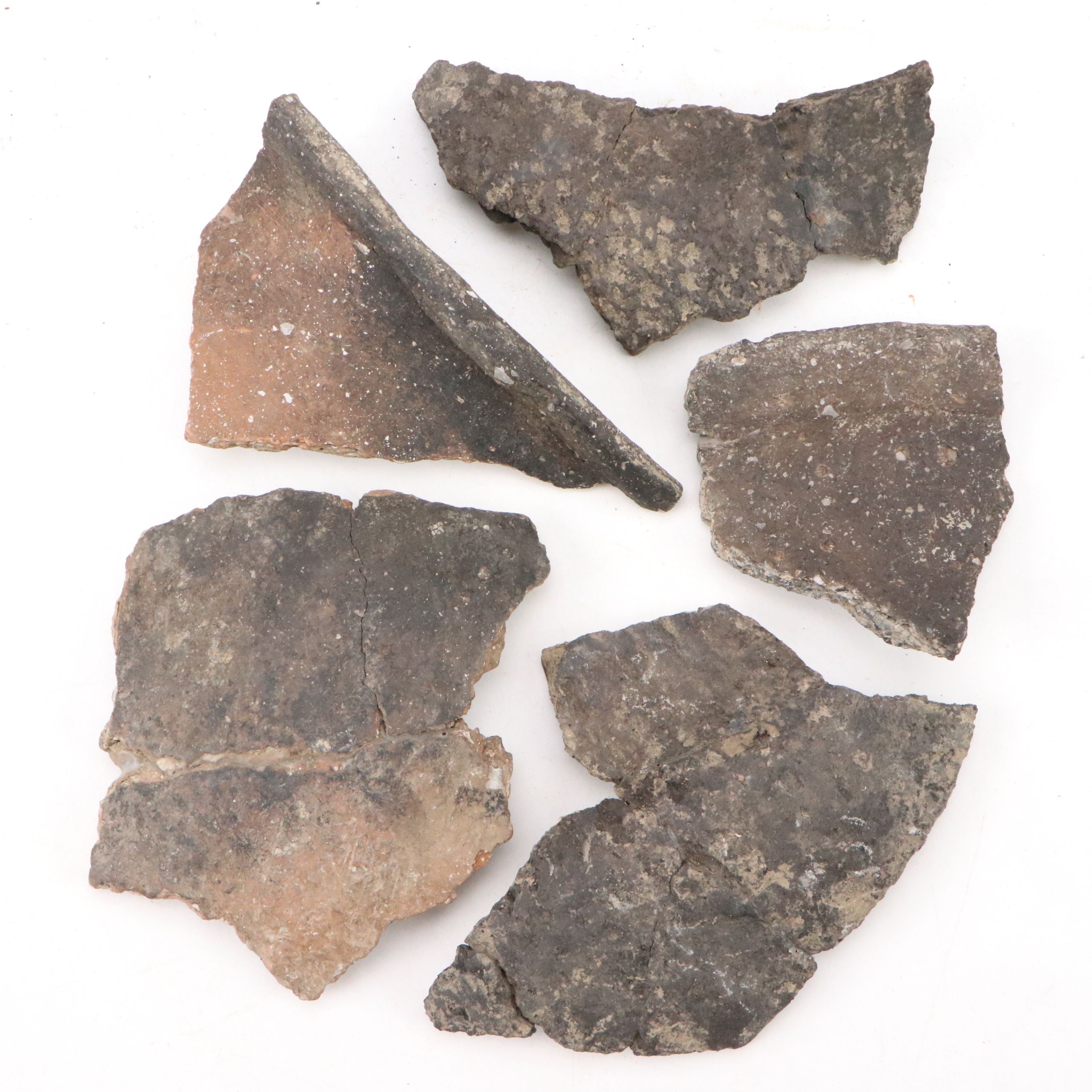 Fort Ancient Shell Tempered Ceramic Potsherds, 1000–1750 CE