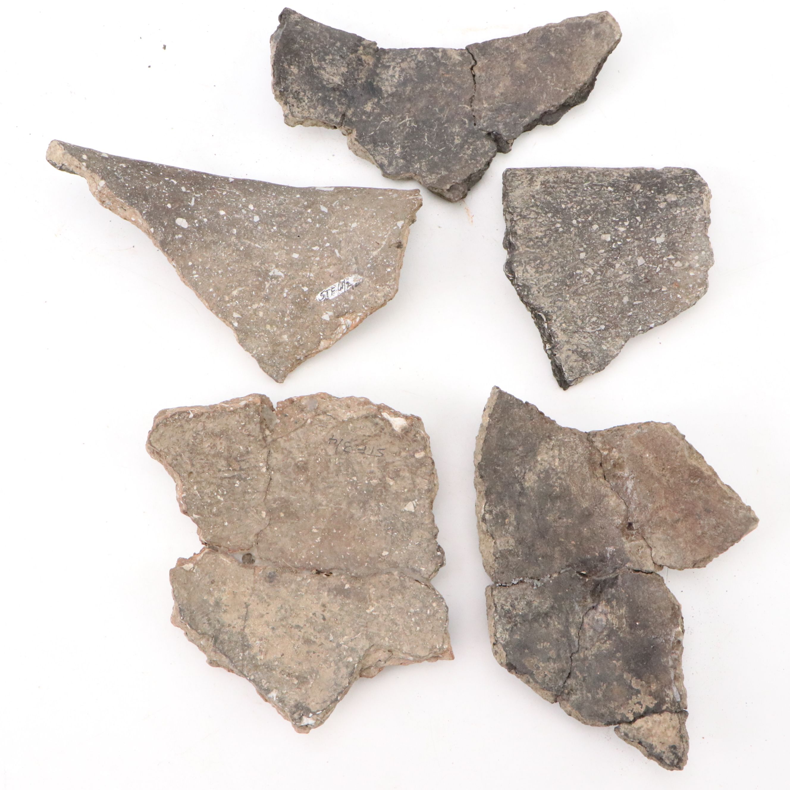 Fort Ancient Shell Tempered Ceramic Potsherds, 1000–1750 CE