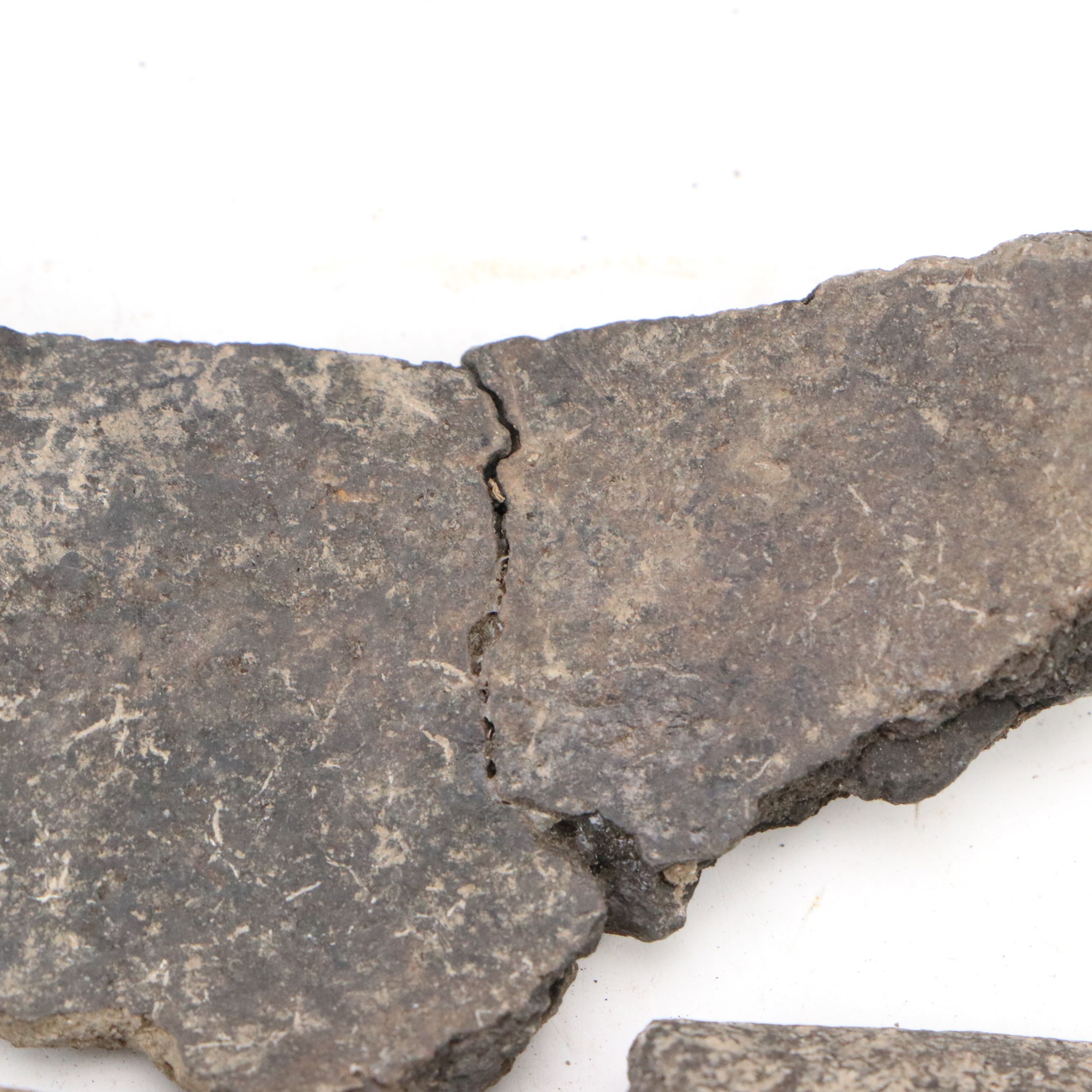 Fort Ancient Shell Tempered Ceramic Potsherds, 1000–1750 CE